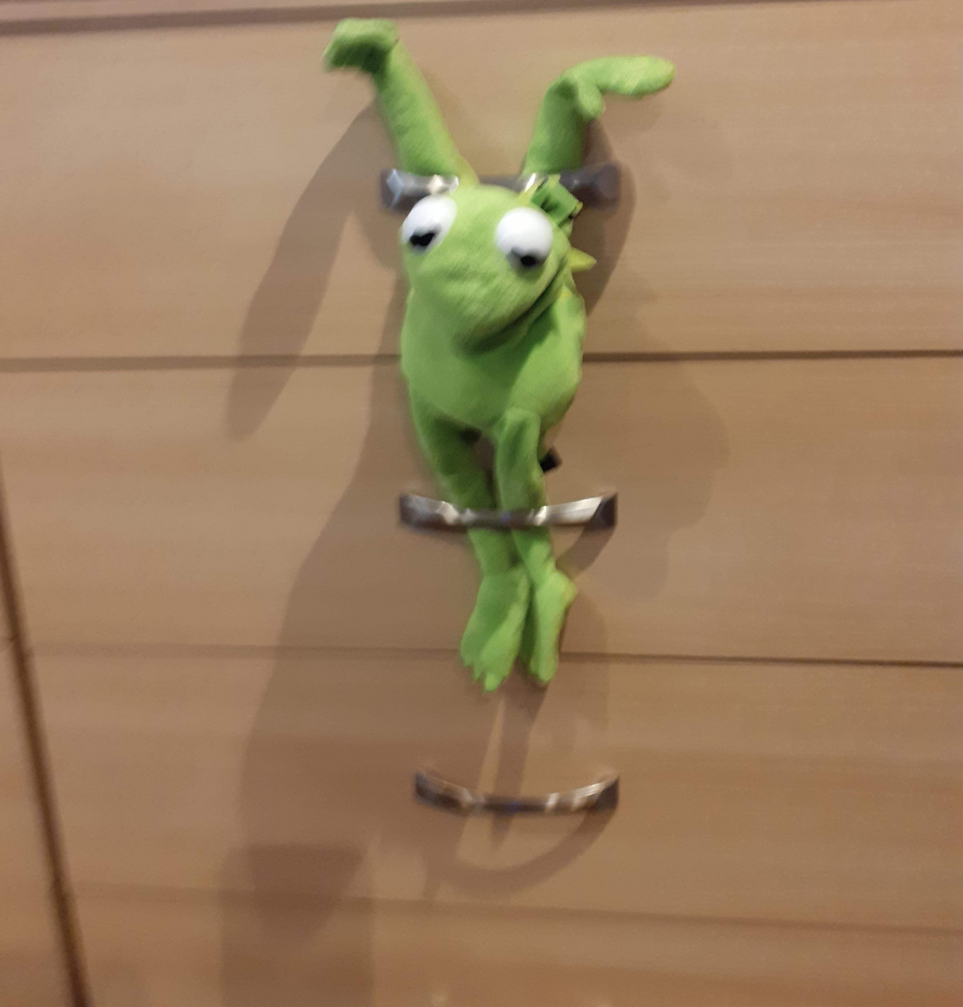 My friend sent me this picture of his Kermit puppet and should I be