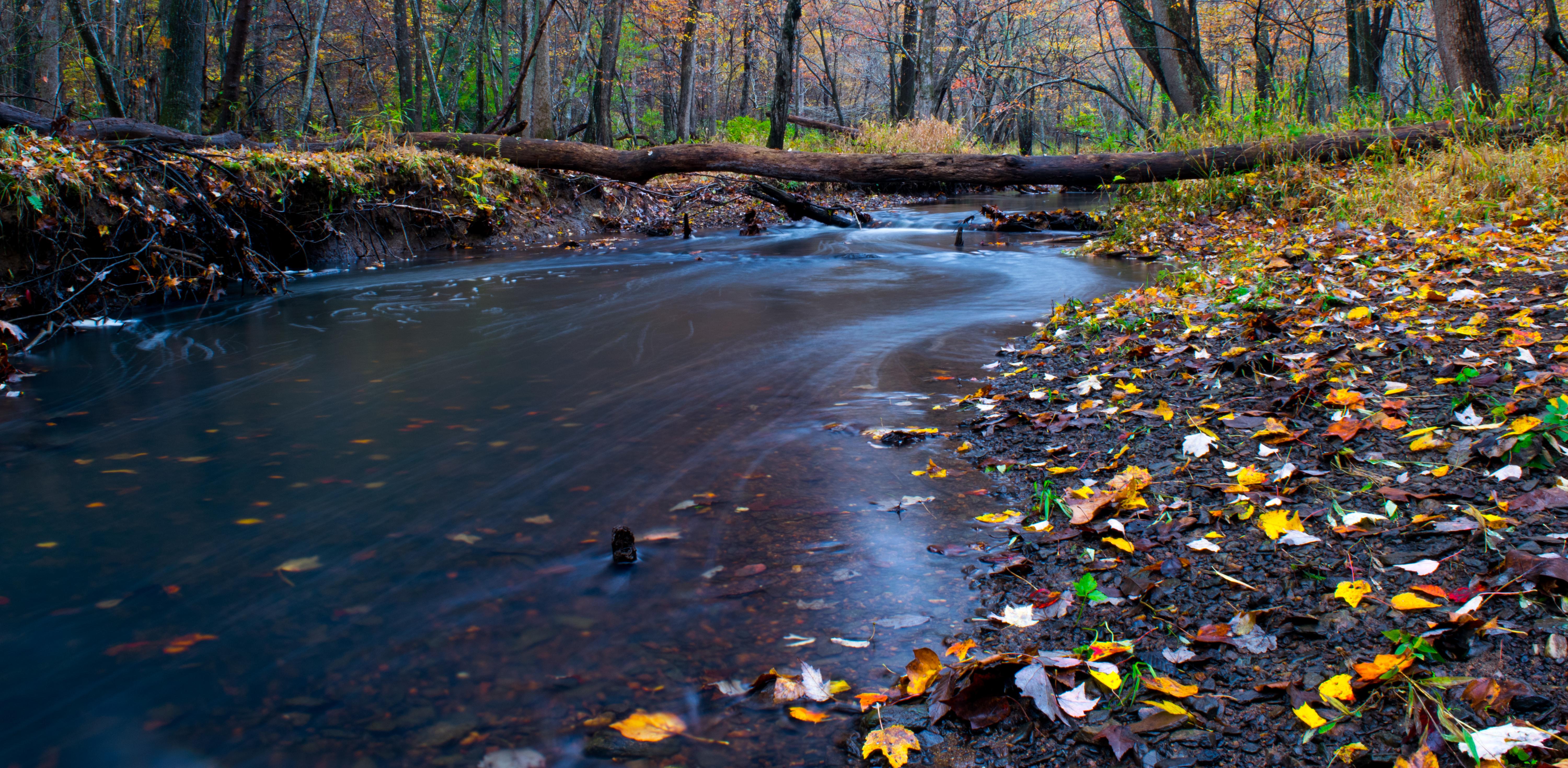 Stream in Reston, VA [OC] [6000 × 2940] r/EarthPorn