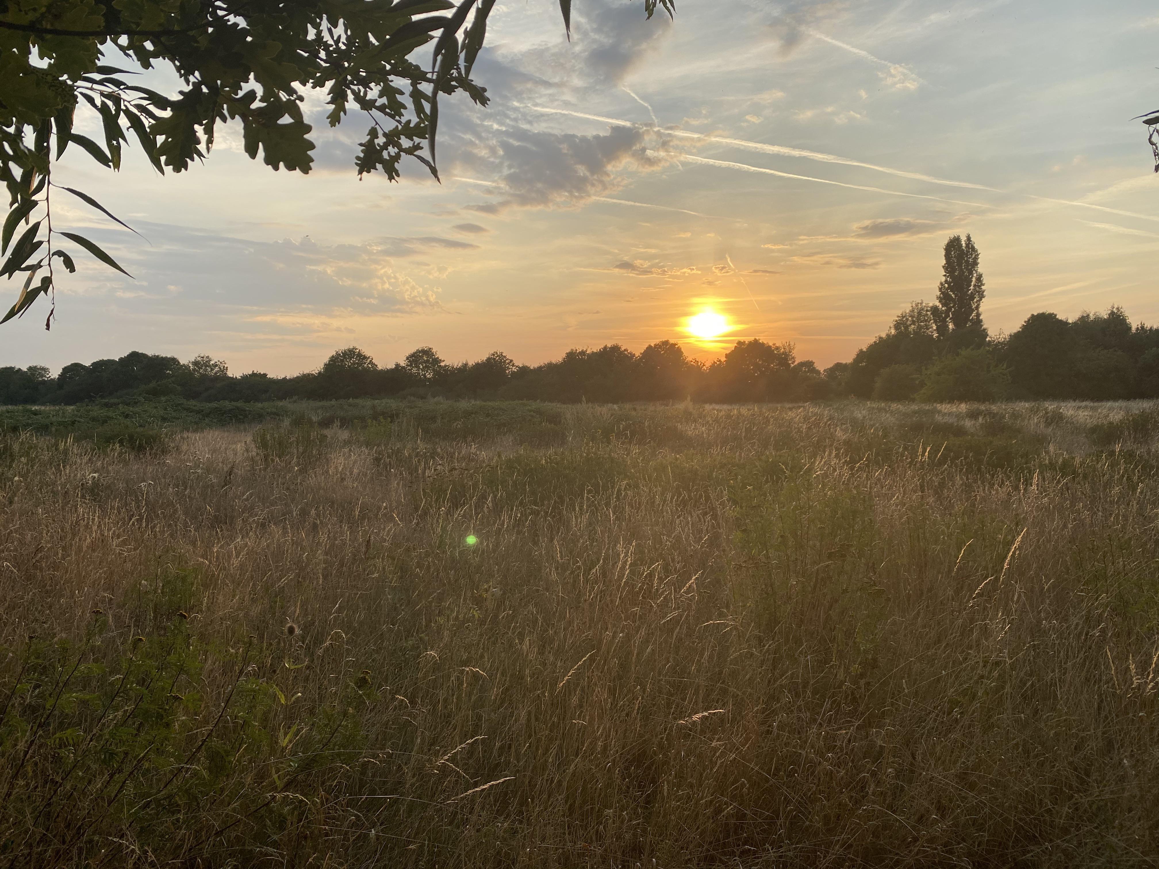 The sunset from tonight’s walk, Surrey, UK MostBeautiful