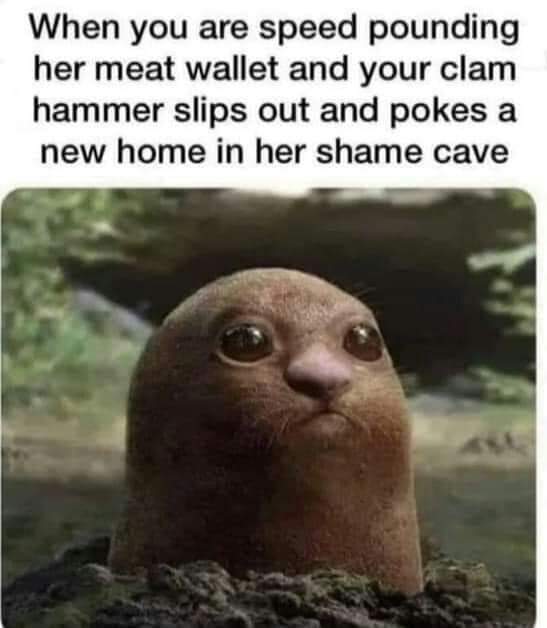 when u r speedpounding her meat wallet and ur clamhammer slips out and