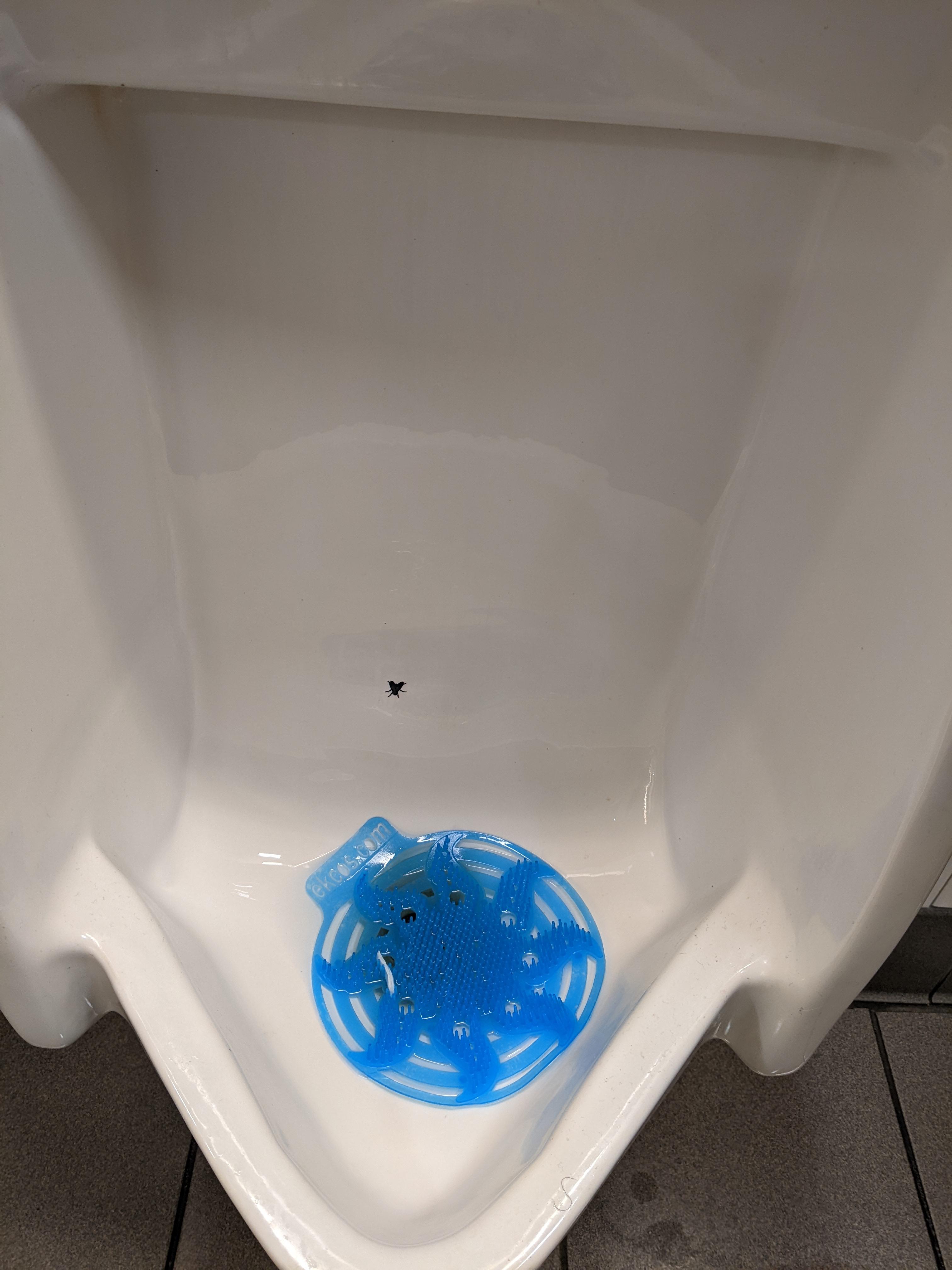 This urinal at the JFK airport has the image of a fly to minimize