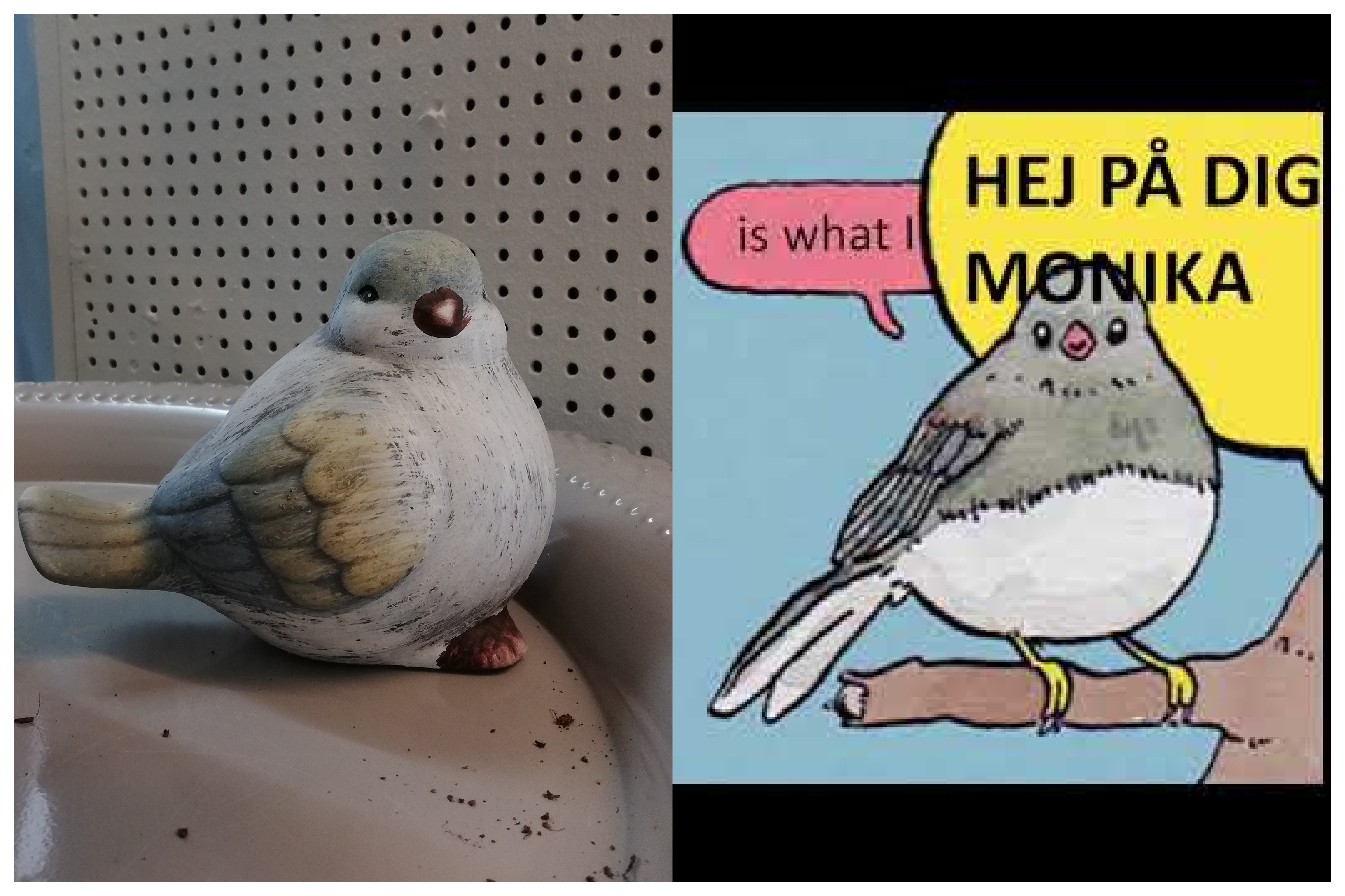 Real life annoyed hej på dig monika bird at my work 🤣👍 