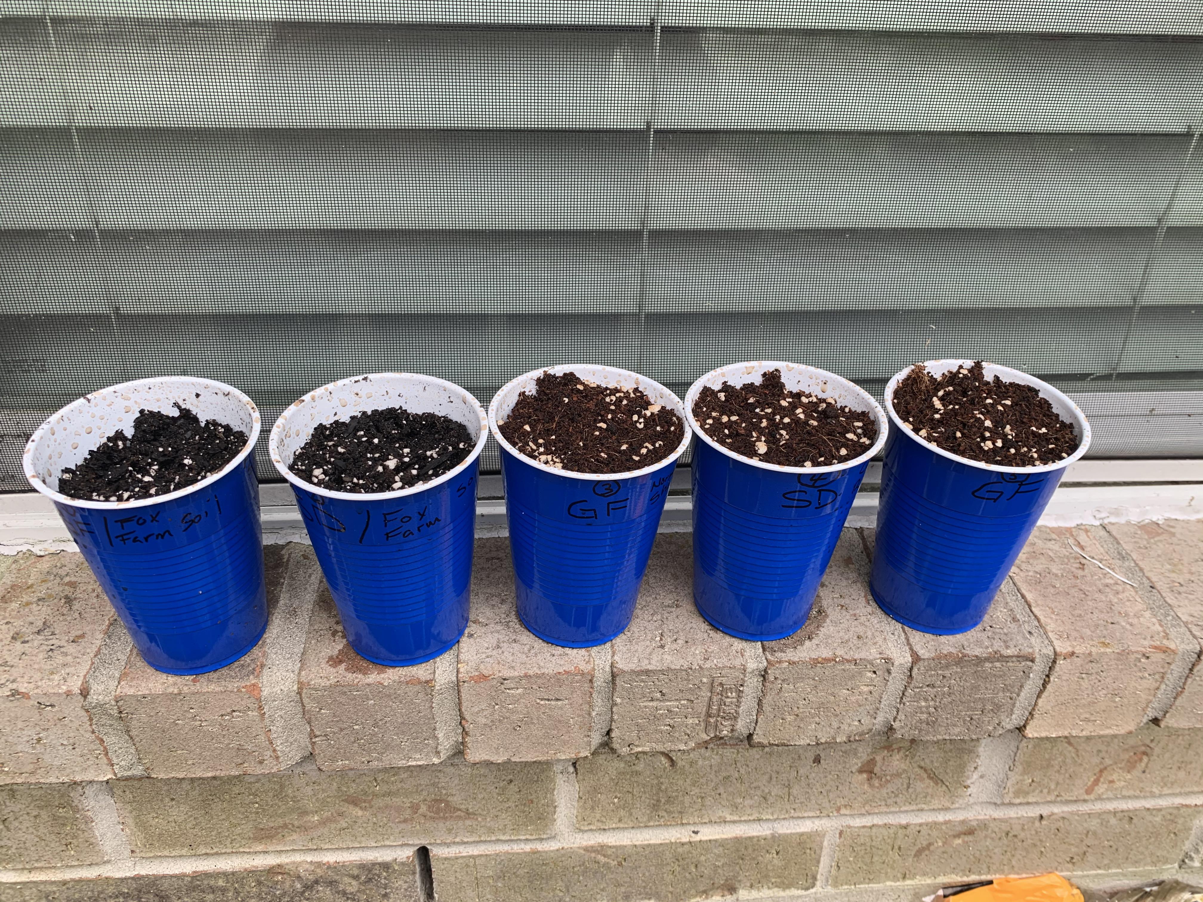 Didn’t know this sub existed ! It’s been tough to find anyone trying to