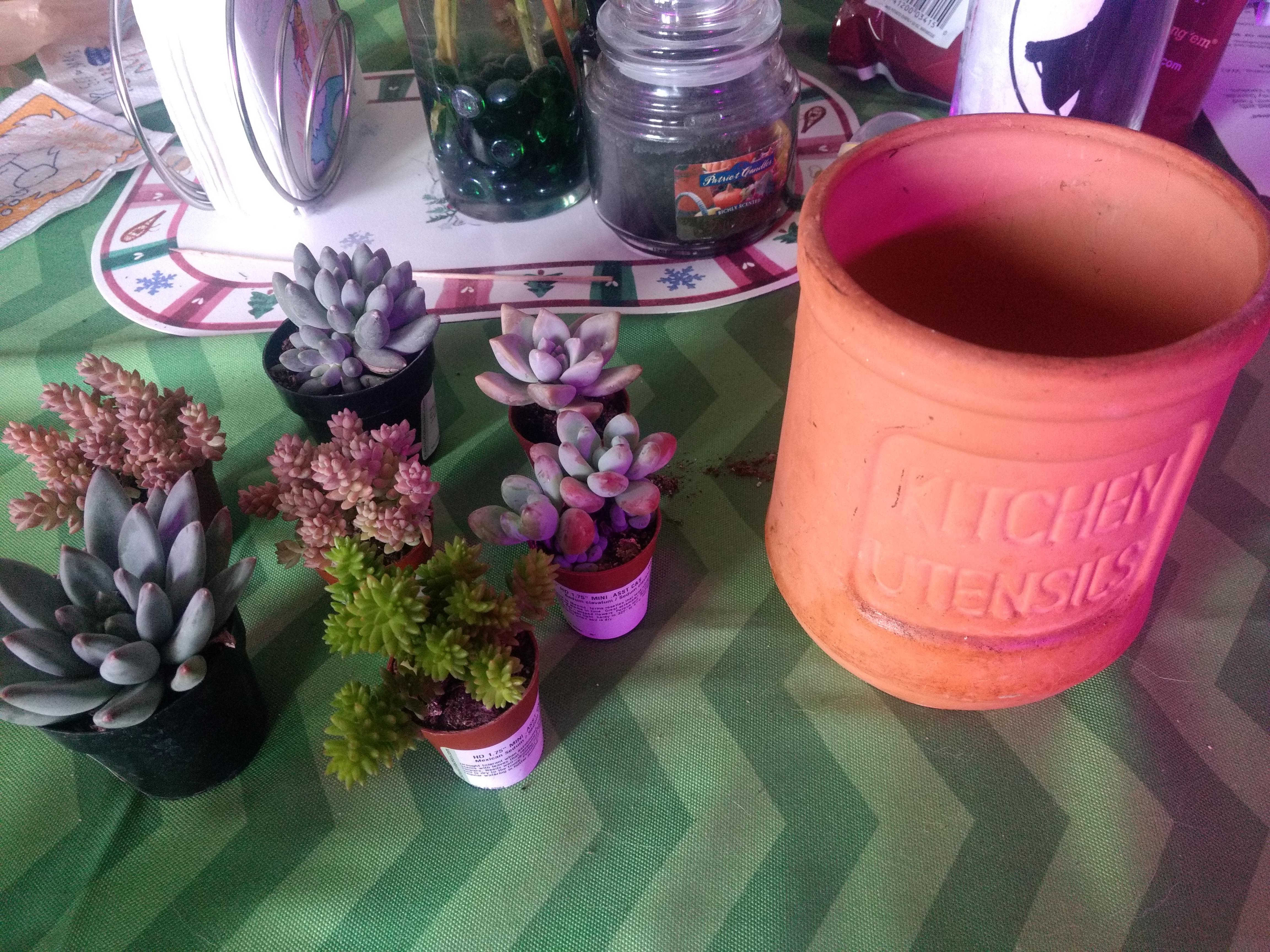 Not able to plant right now but I already know it's going to be