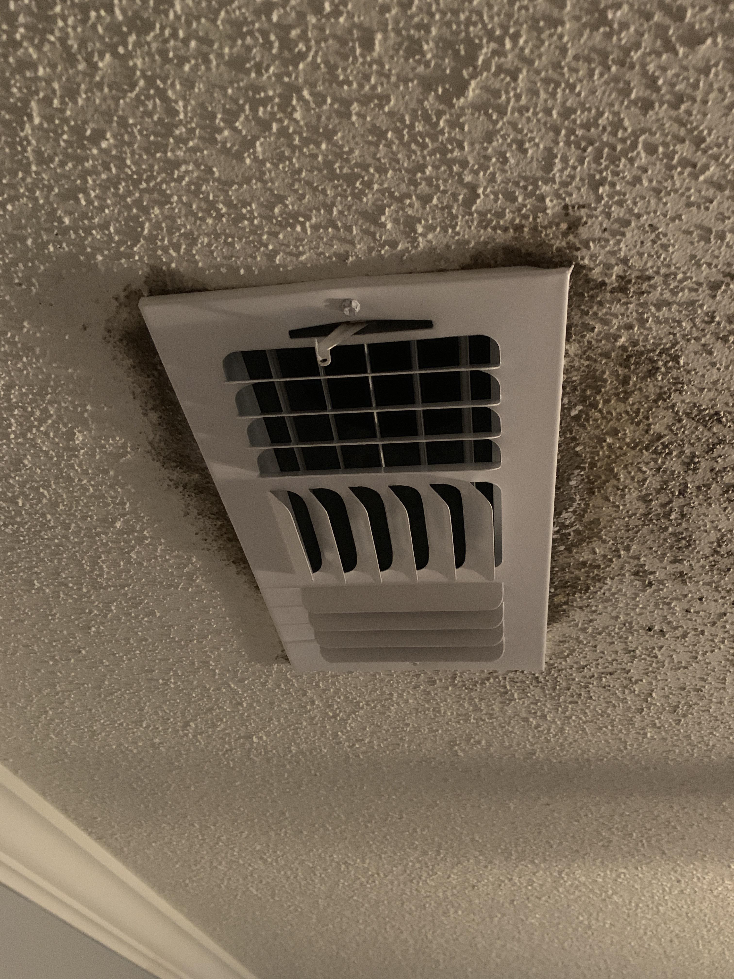 Mold on Register/Grill (Question in Comments) r/HVAC