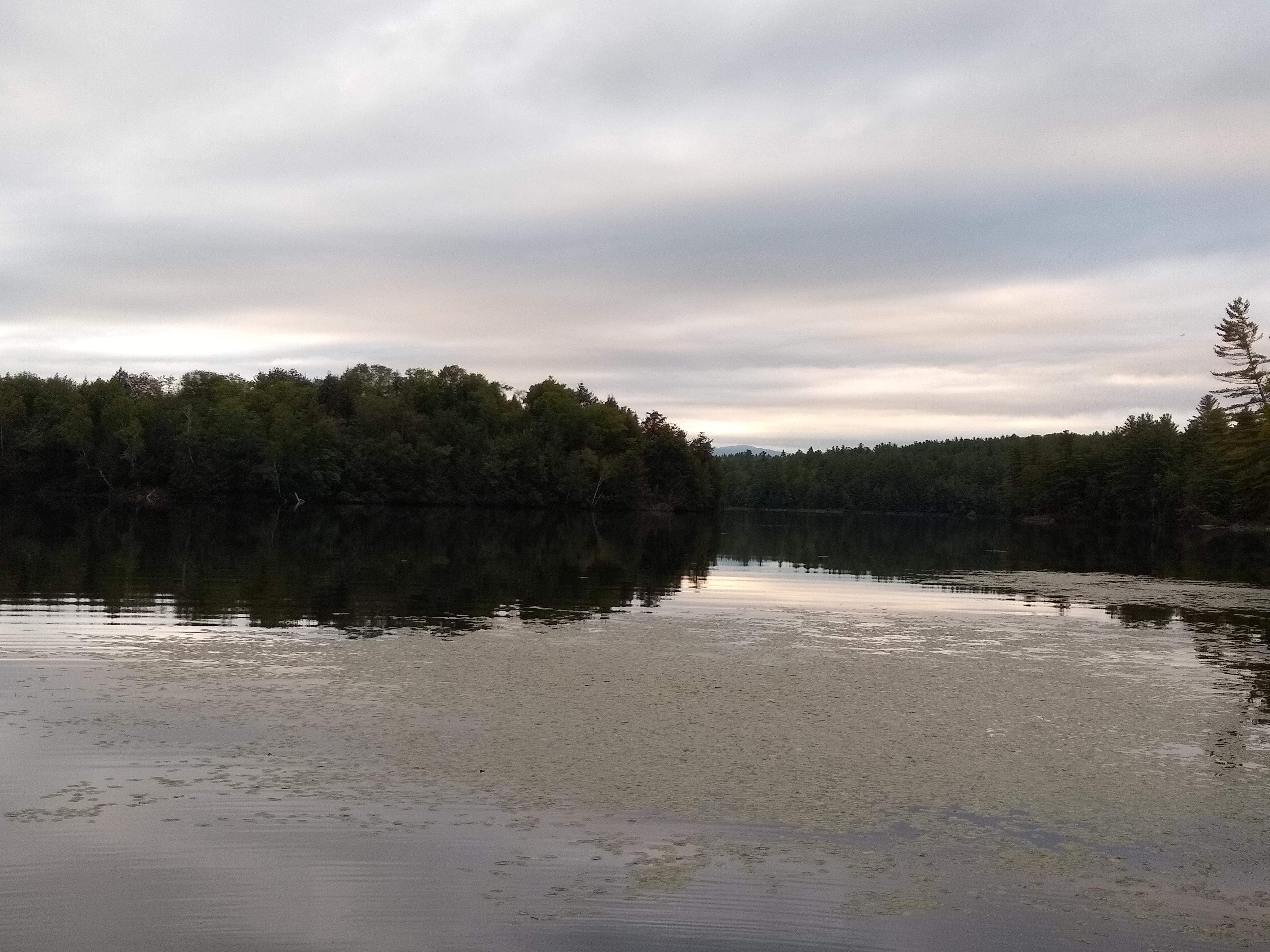Looking North West on Lincoln Pond this evening. r/Adirondacks