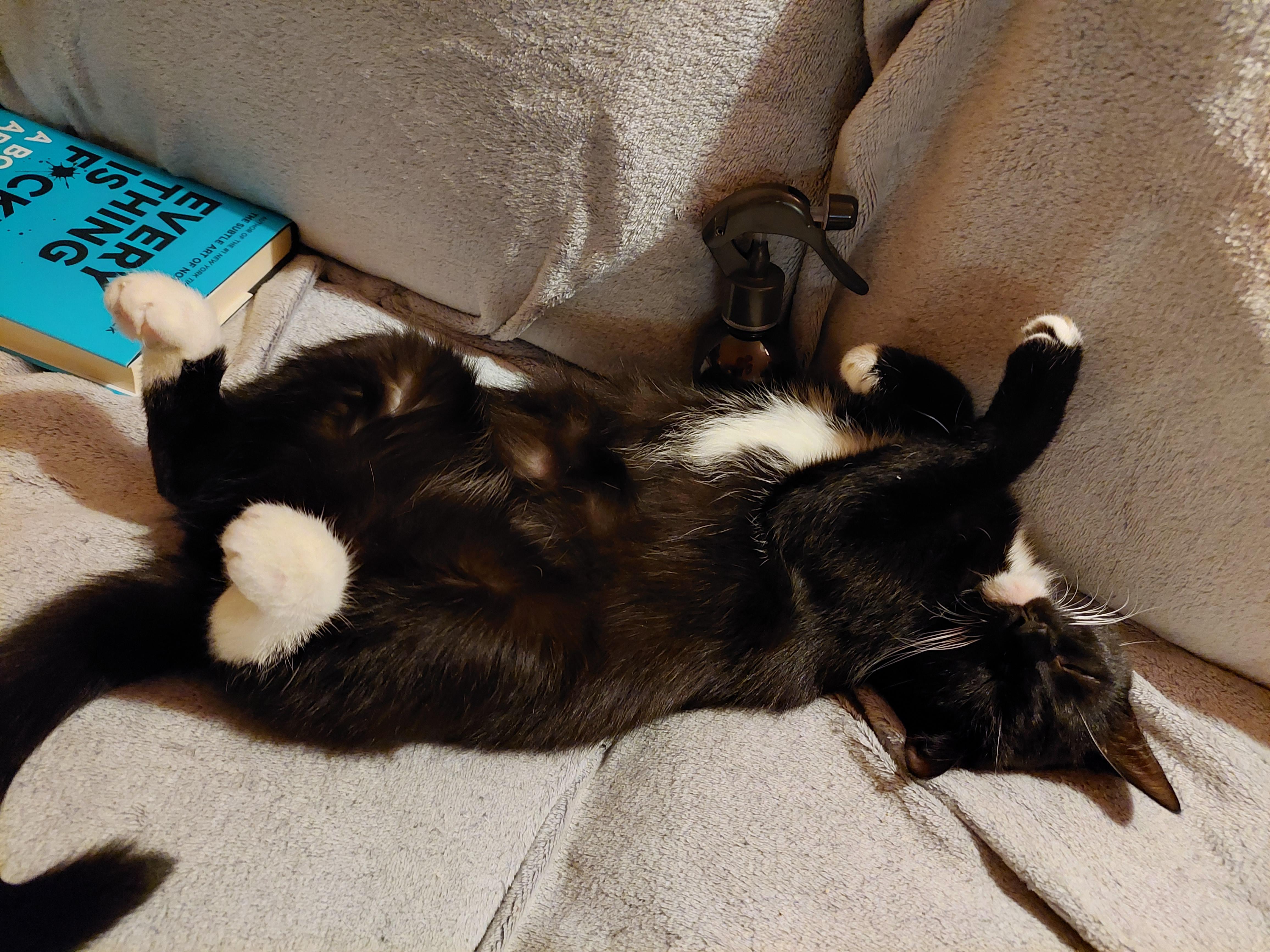 Reddit Dive into anything