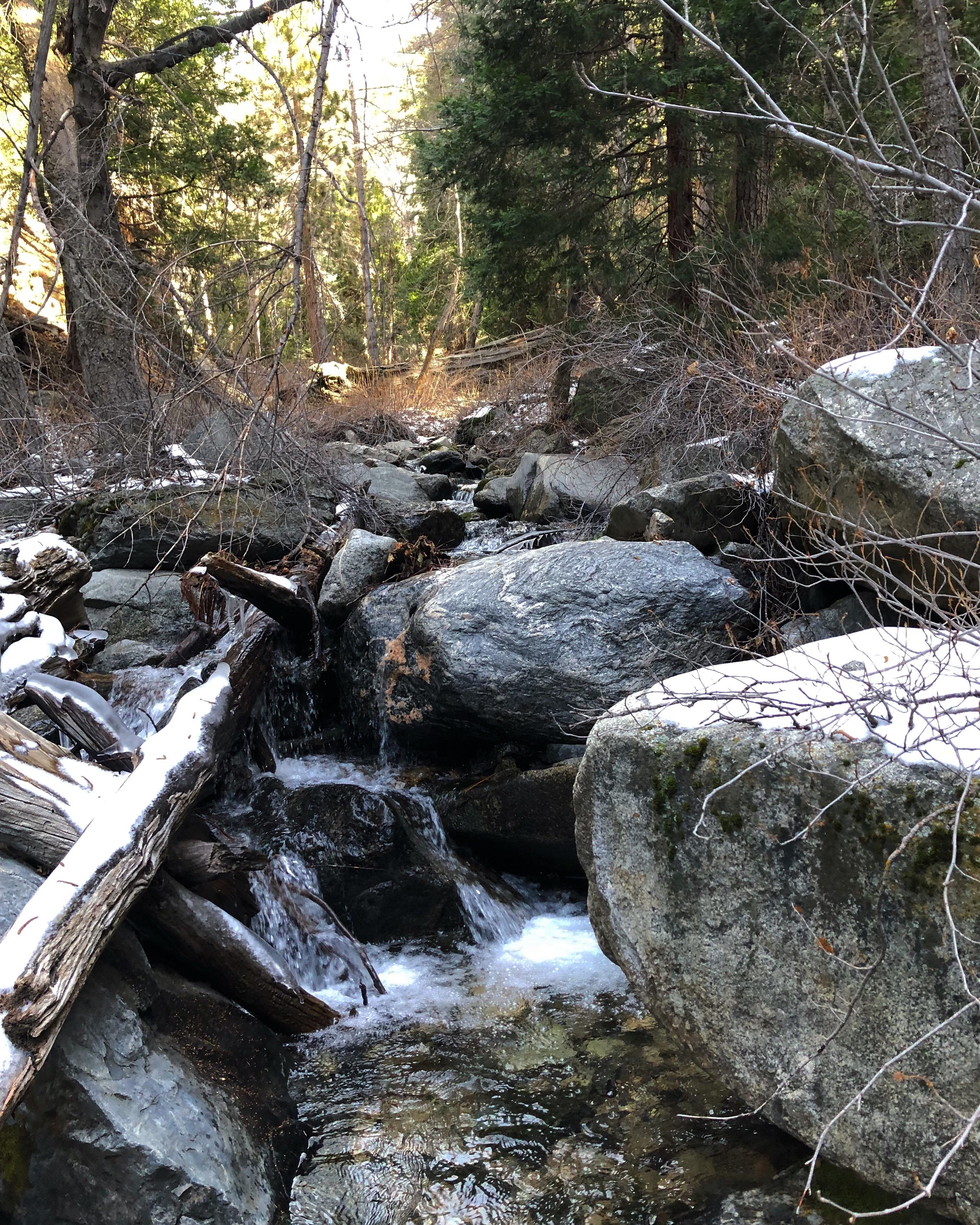 I hiked to Alger Creek Camp yesterday r/socalhiking