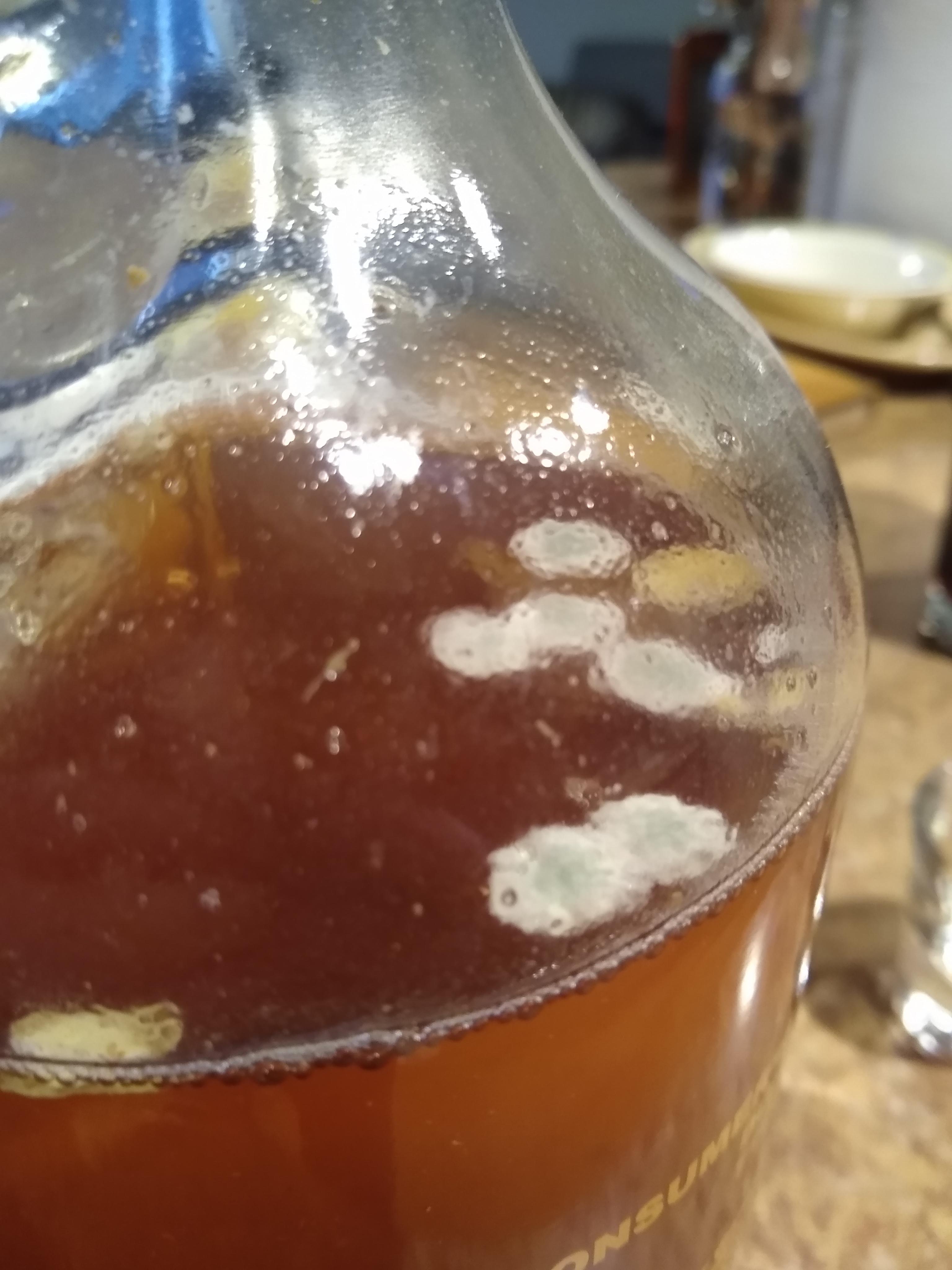 I think my mead went moldy, but I didn't think that could happen