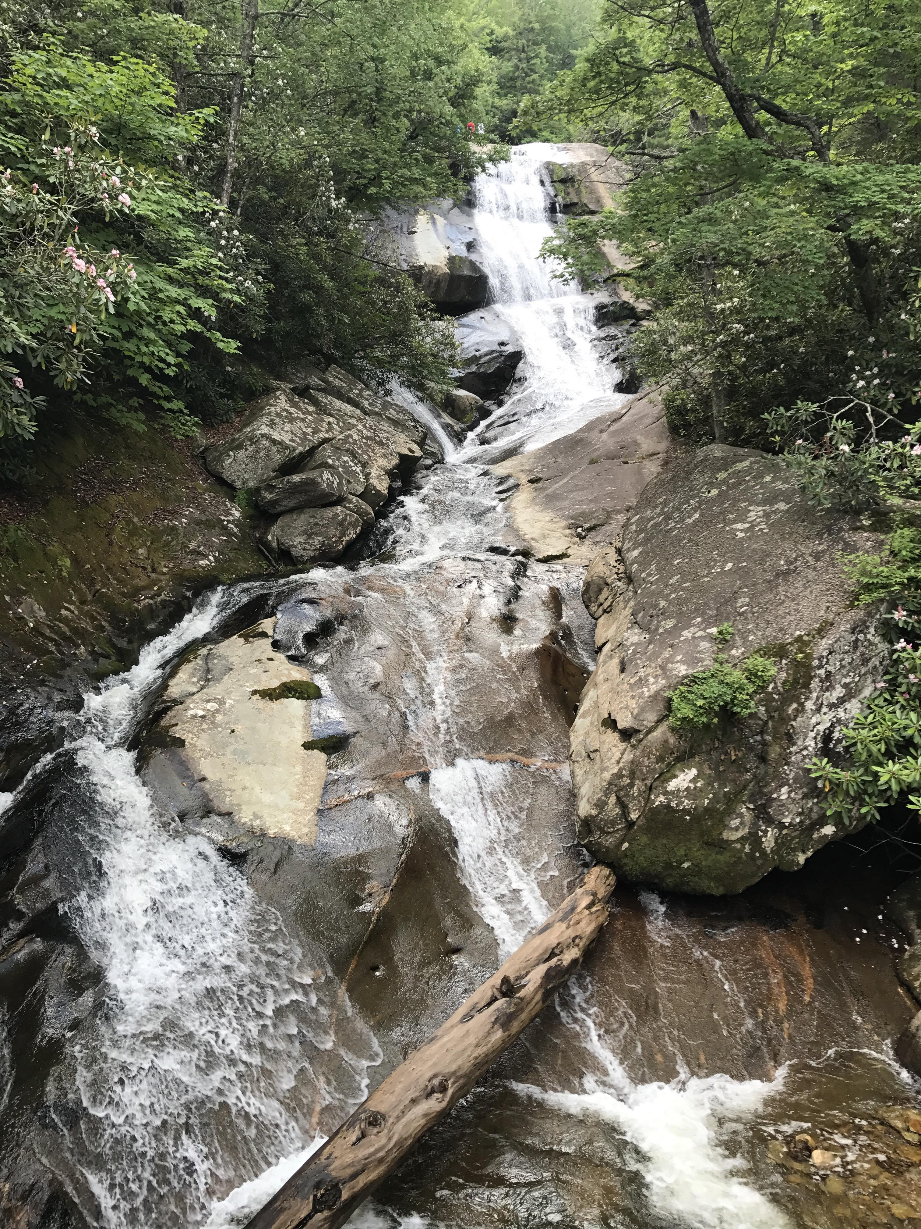 Upper creek falls. Pisgah National Forest, NC. [1334x750] r/EarthPorn