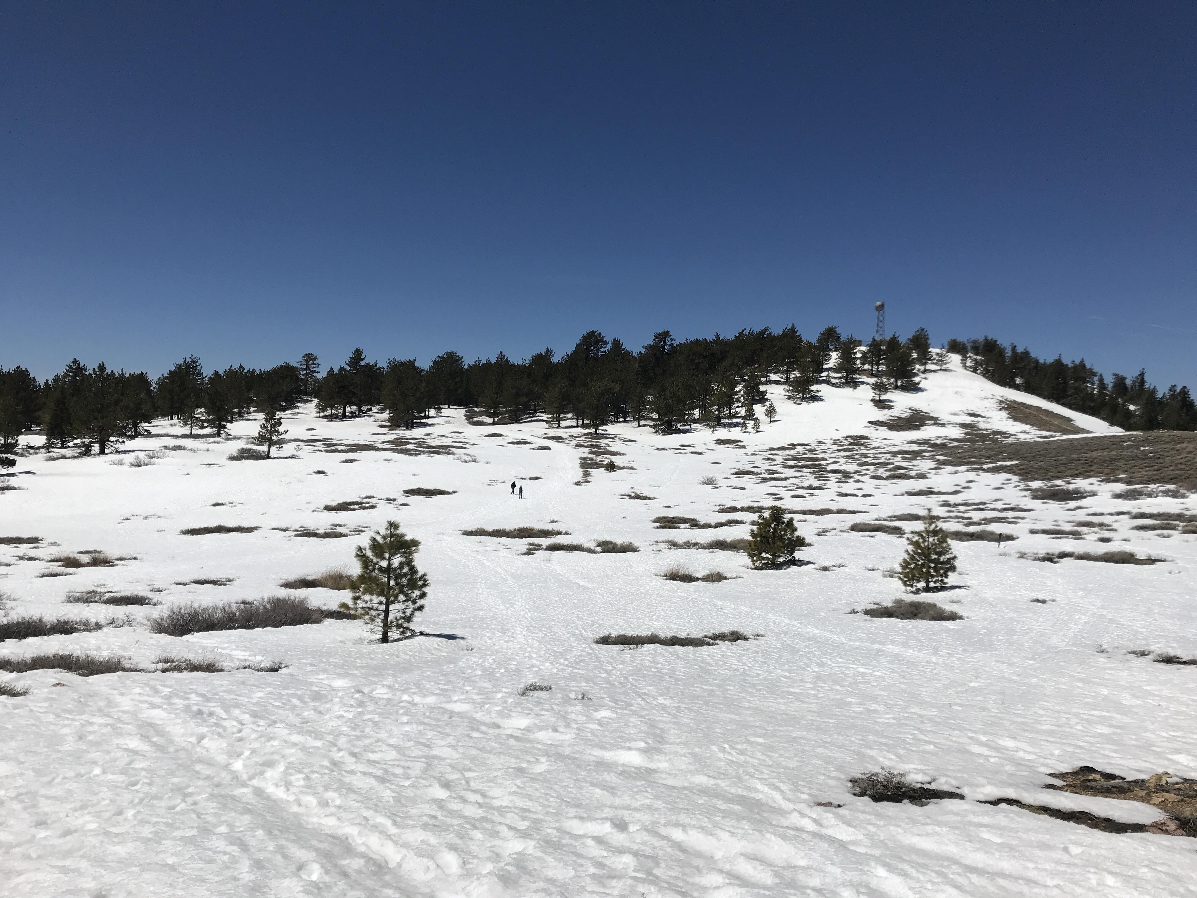 Mount Pinos 4/13/19 r/socalhiking