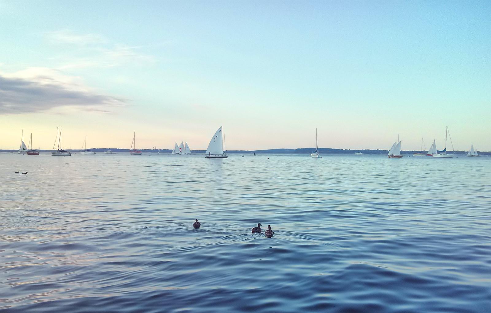 Lake Mendota r/madisonwi