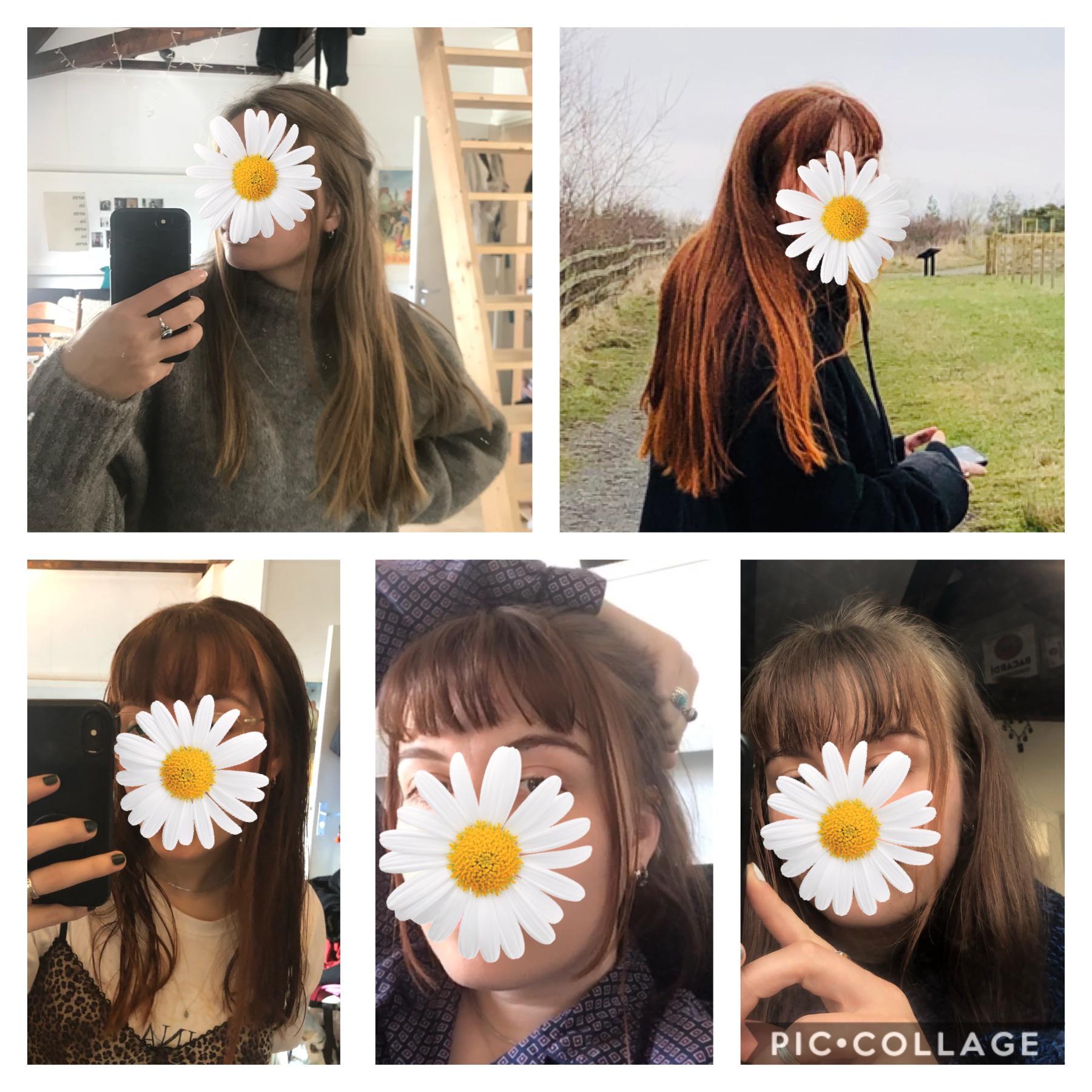 I wanna bleach my Henna hair! I already did some vitamin c and oil