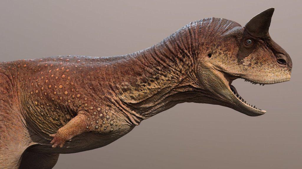 256 best Carnotaurus images on Pholder Dinosaurs, Naturewasmetal and