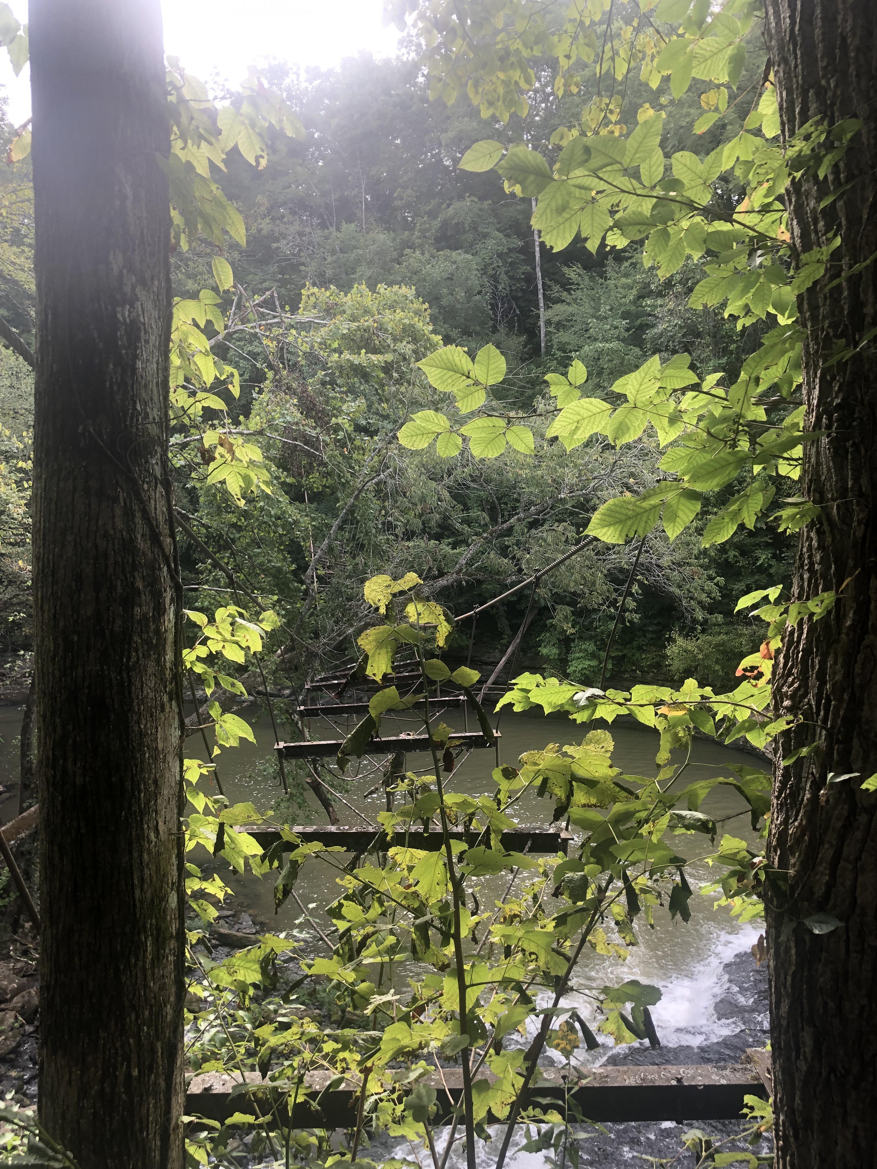 Found in Cookeville, TN. An old bridge r/AbandonedPorn