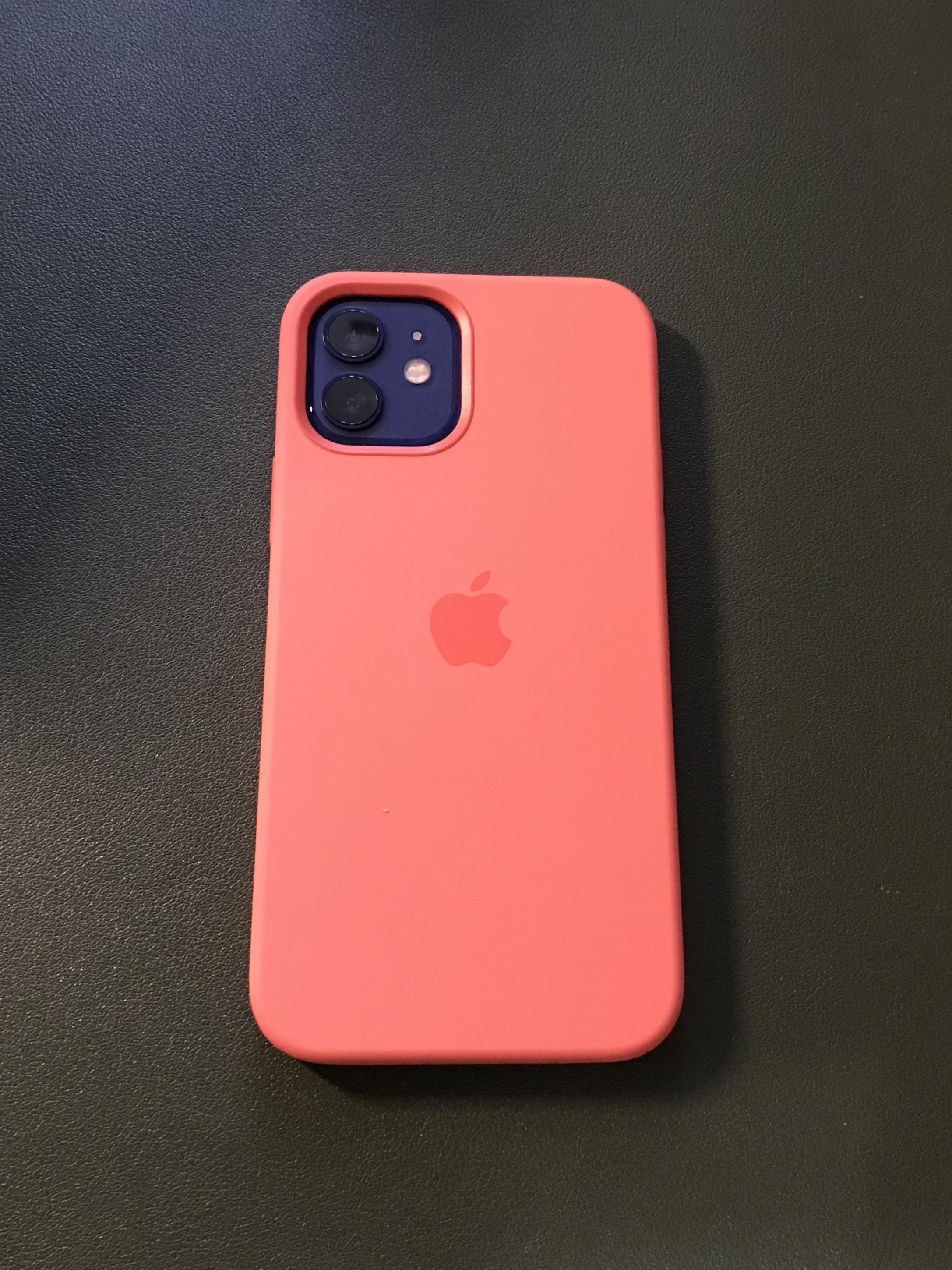 iPhone 12 blue with a pink citrus case. Looks great together! r/iPhone12