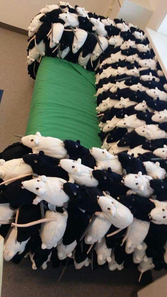 rat sofa r/RATS