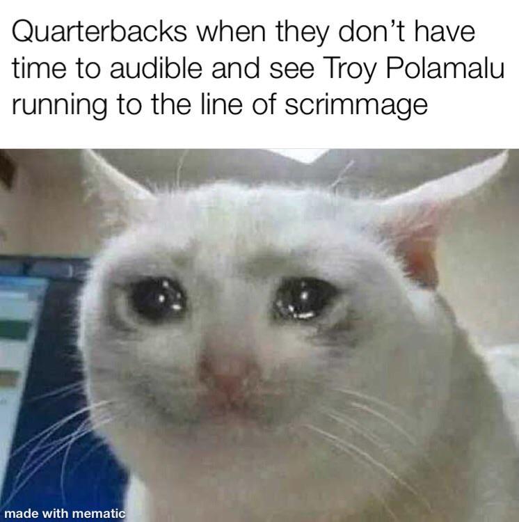 My favorite safety of AllTime! r/nflmemes