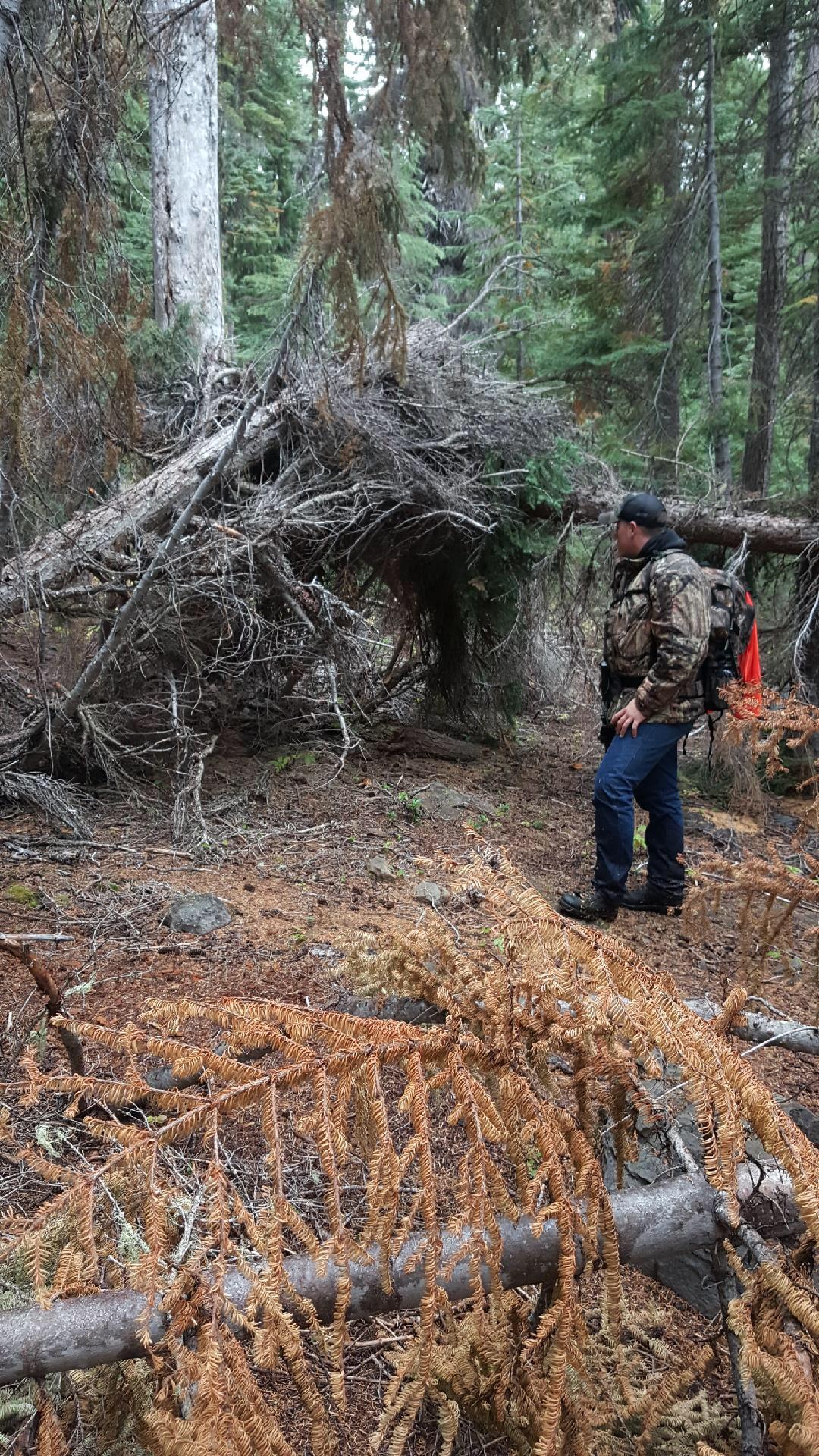 Anybody ever seen a structure like this before? This is about 300 yards