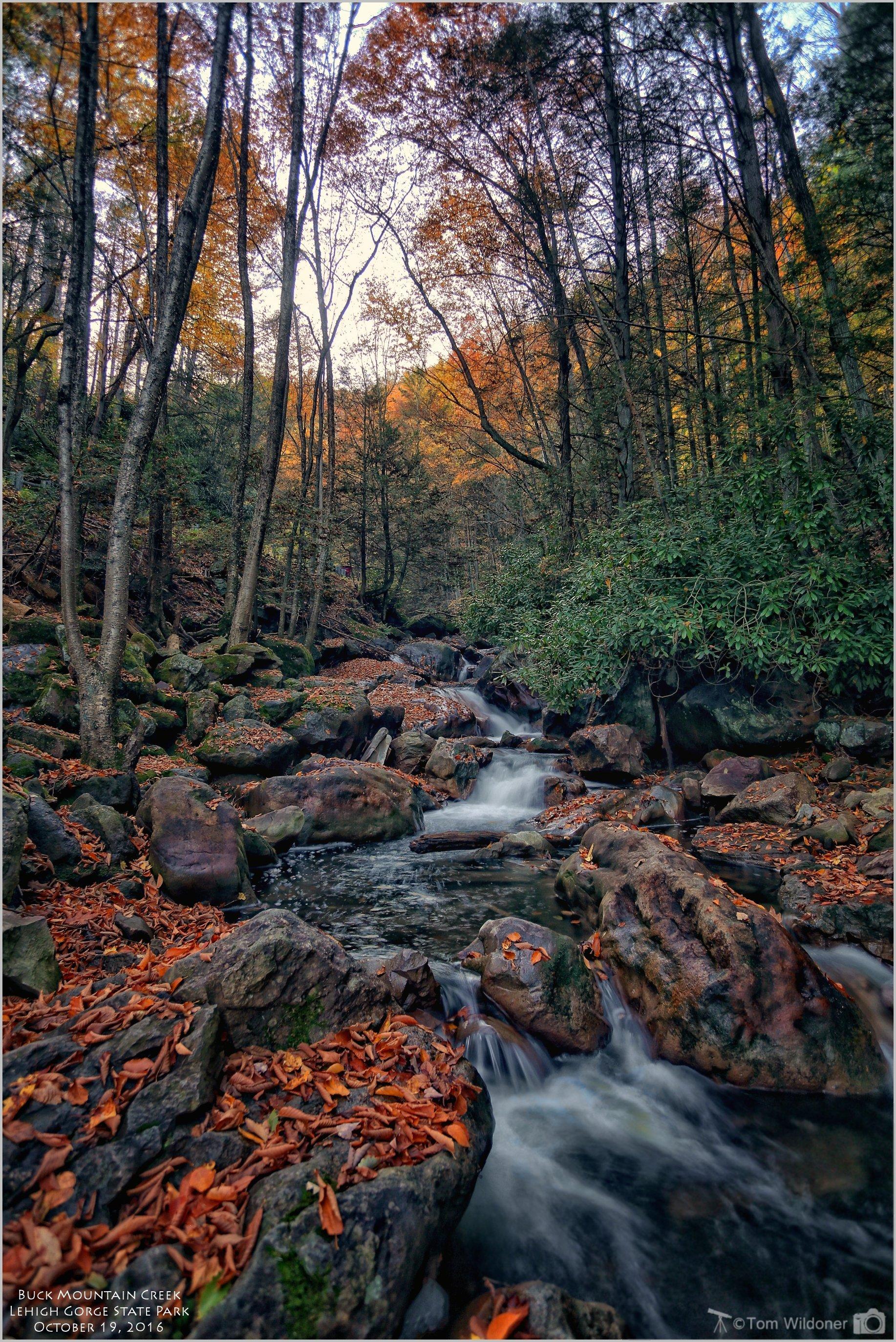 Buck Mountain Creek, Carbon County, Pennsylvania [OC] [1834 x 2746] r