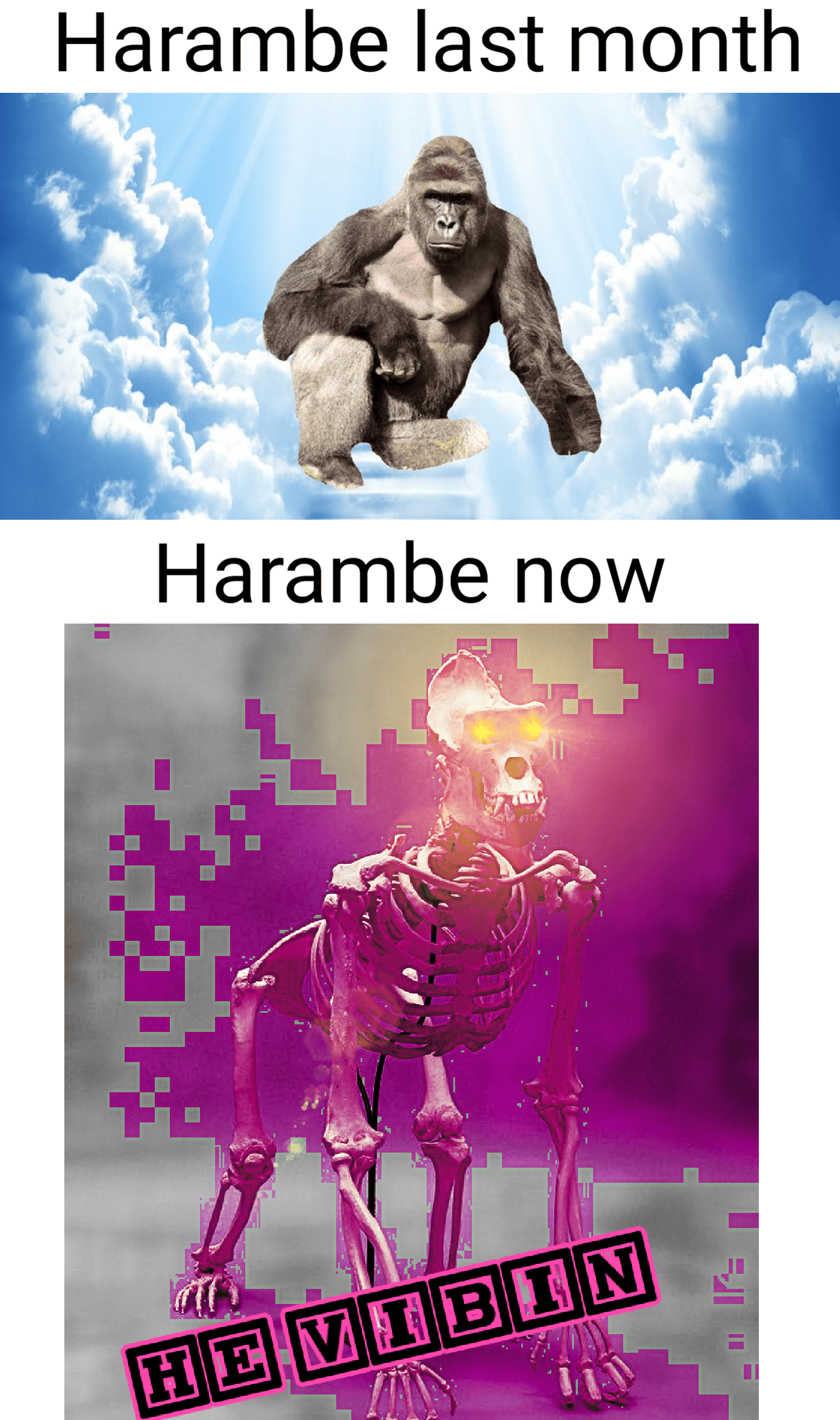 He walketh among us once again dankmemes