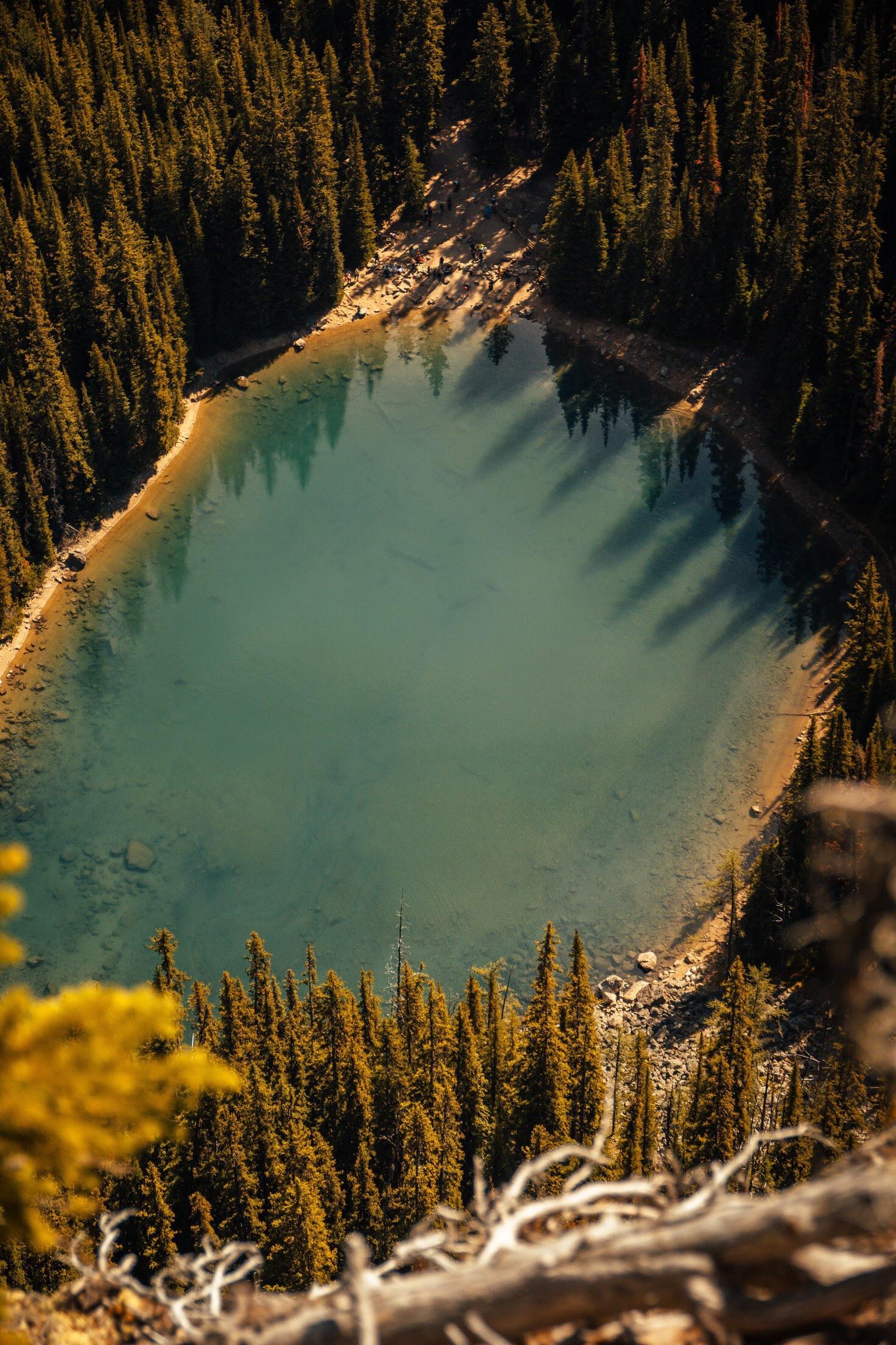 Mirror lake from the Big Beehive lakeLouise r/Banff