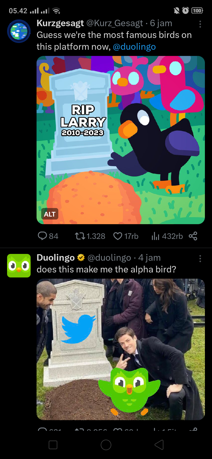 Birb supremacy r/duolingomemes