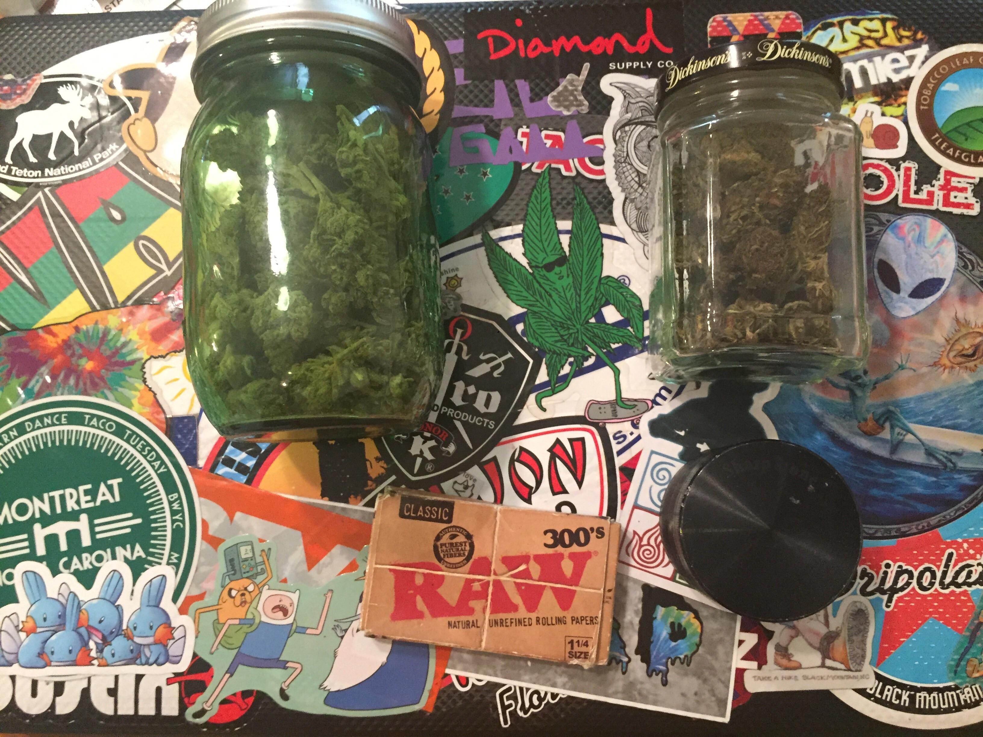 As a native Floridian this is what my hurricane prep looks like r/trees