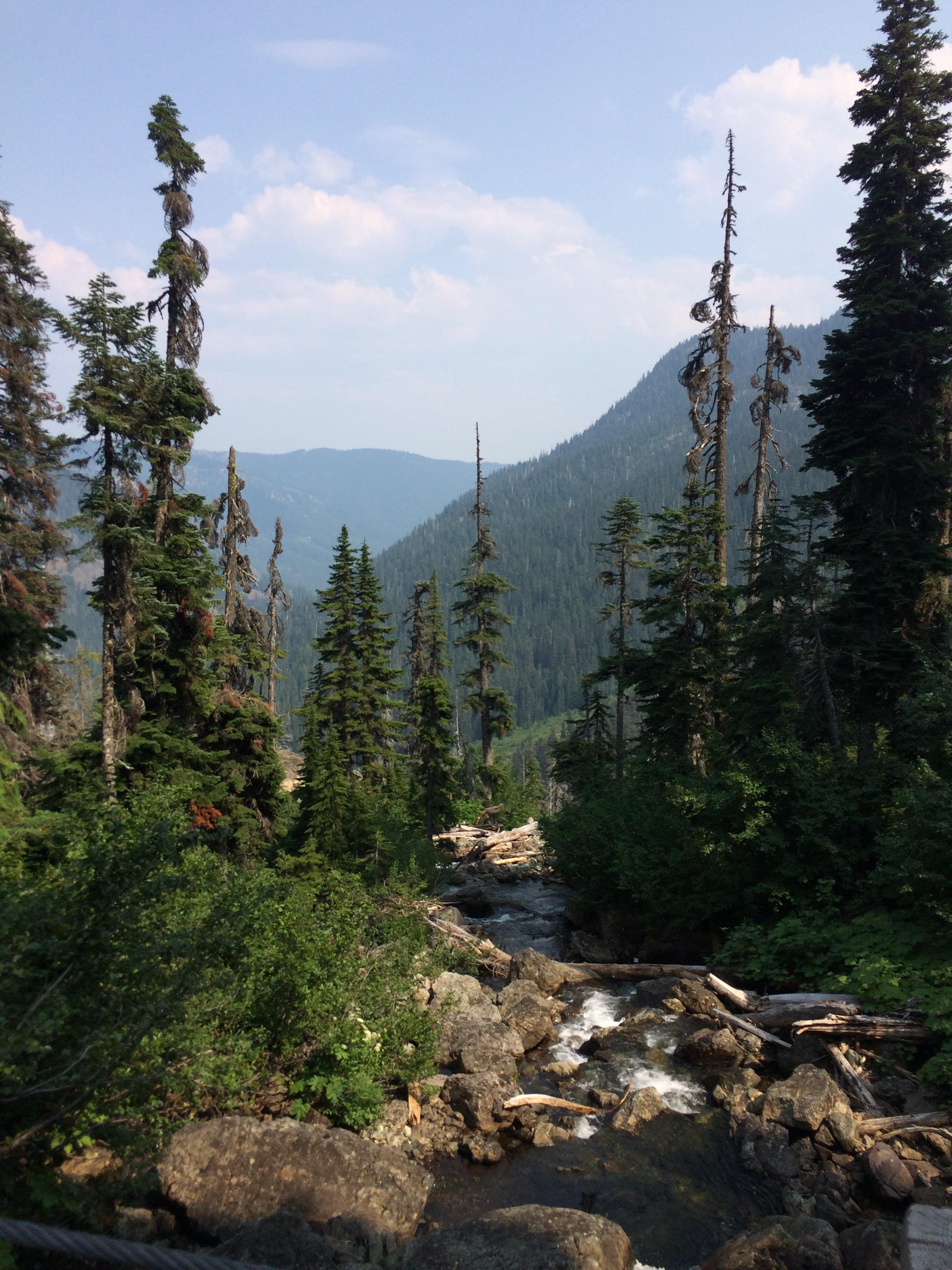 Small creek on the hike up to Spectacle Lake, WA. [OC] [1334x750] r