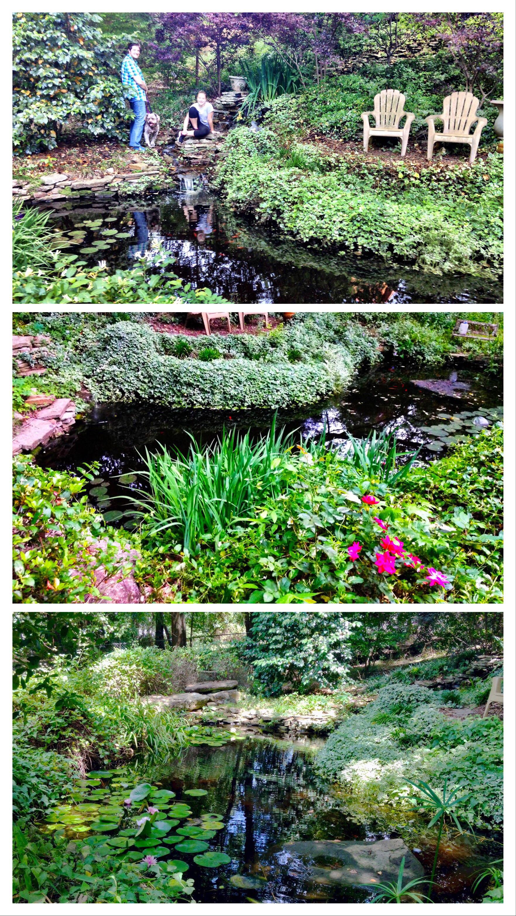 Back yard secret garden still shots. It a little bigger than the video