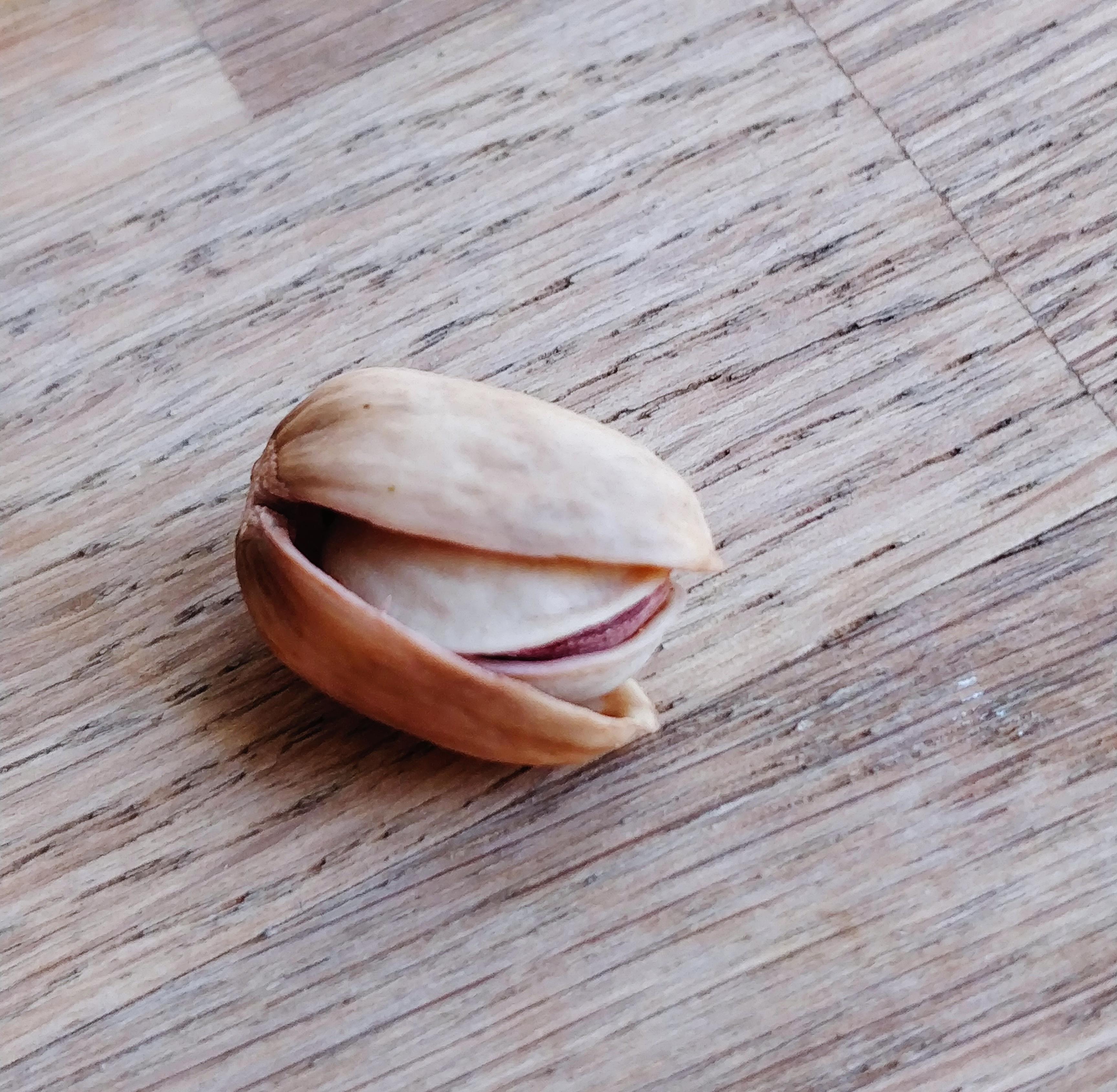 A pistachio nut inside an unopened pistachio shell! r/interestingasfuck