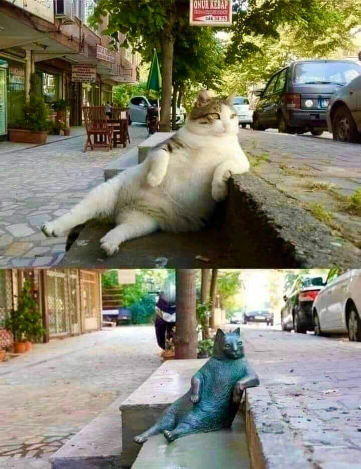 A statue in Istanbul to honor Tombili, a famous stray cat. He used to