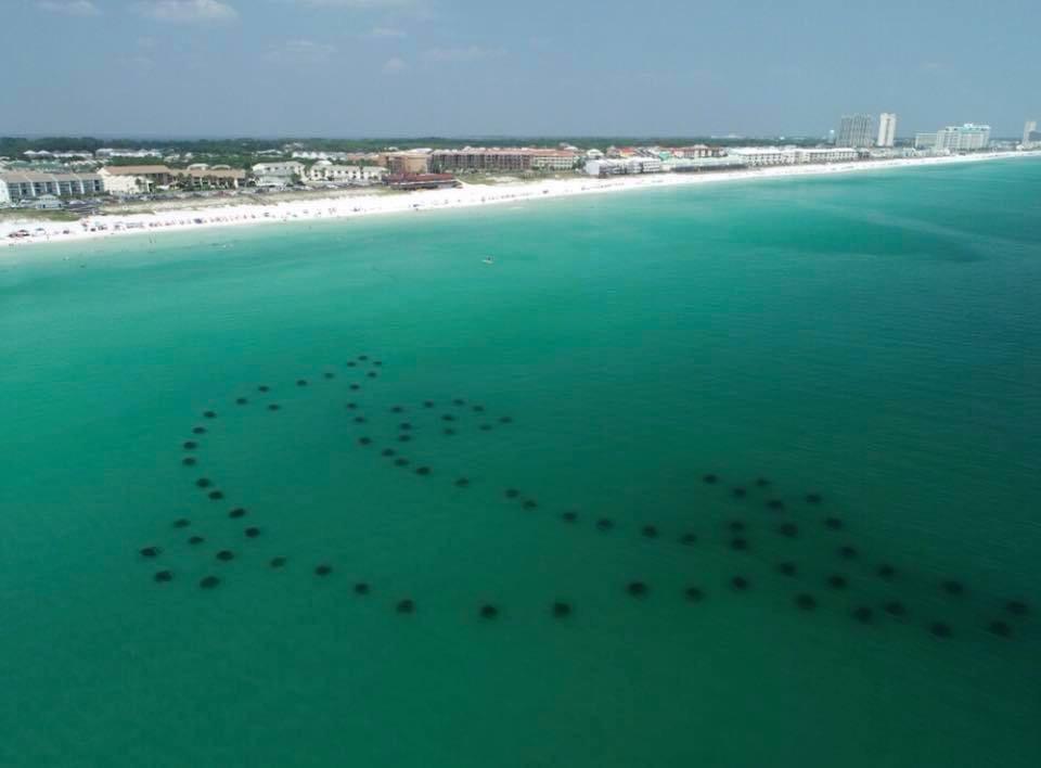 Artificial reef in the shape of a dolphin (Florida) r/mildlyinteresting