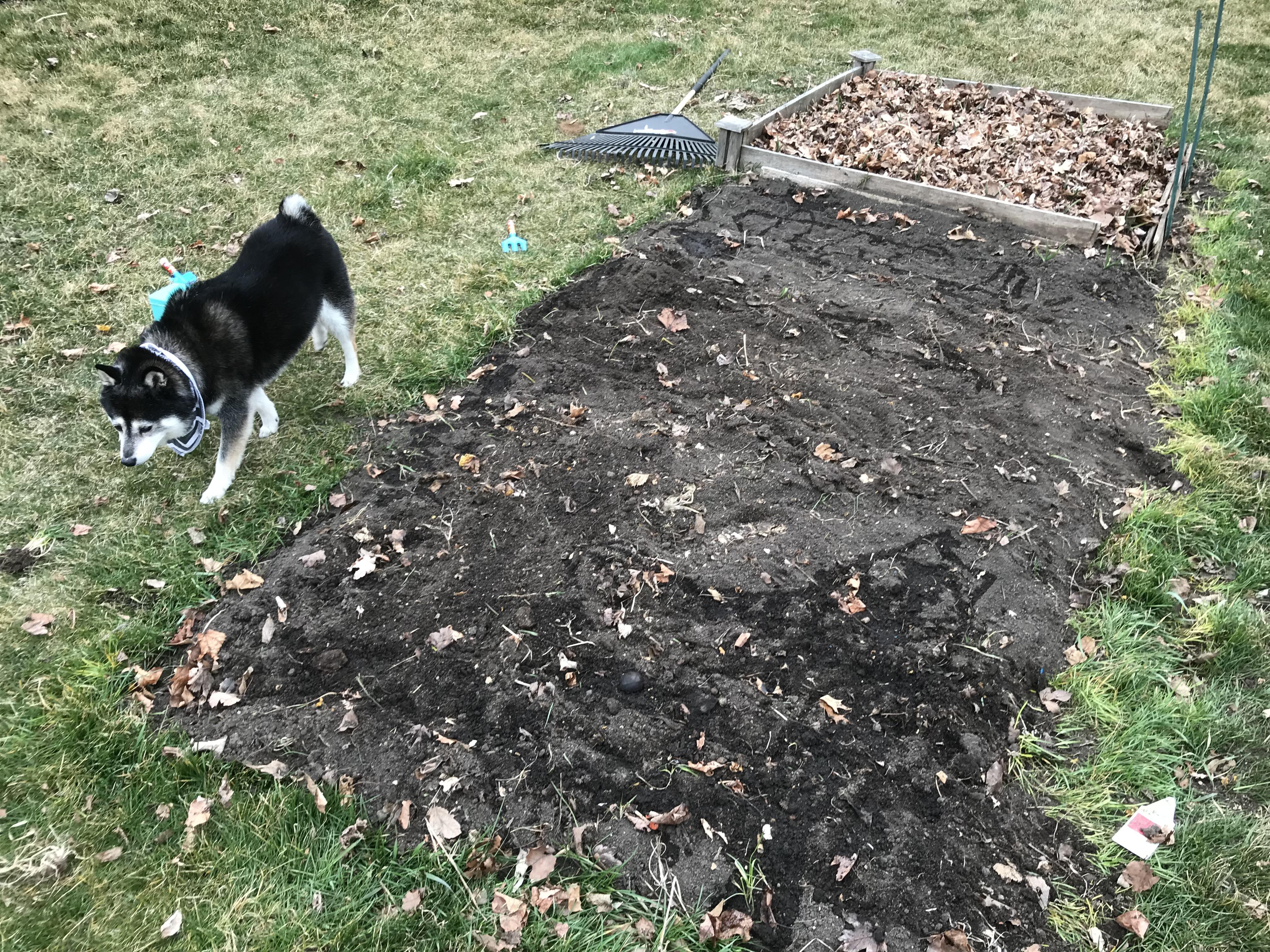 We lost two raised beds to rot over the winter, but our garden is
