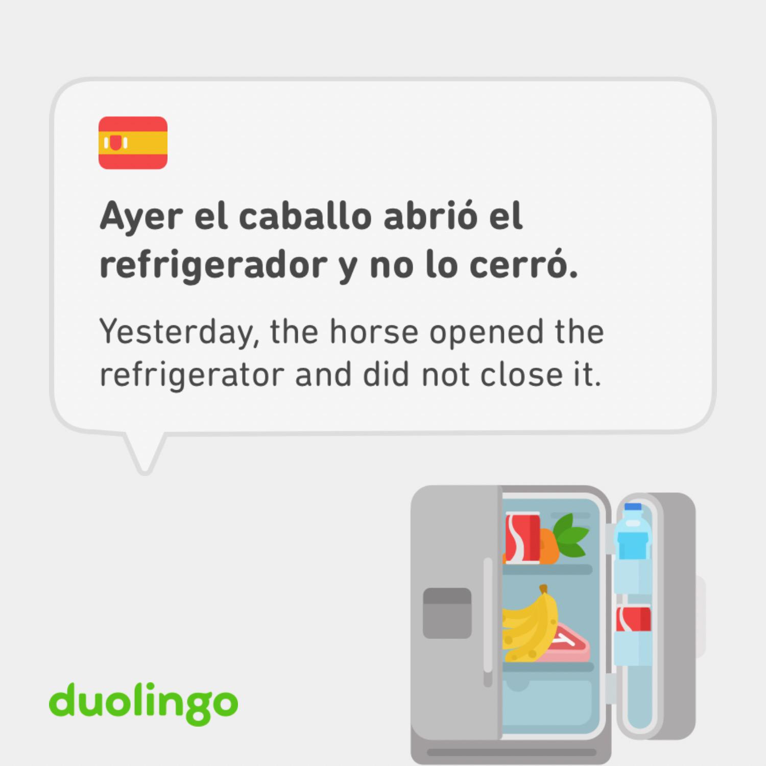 Has Duo lost his mind today or is this normal?... Every lesson I did