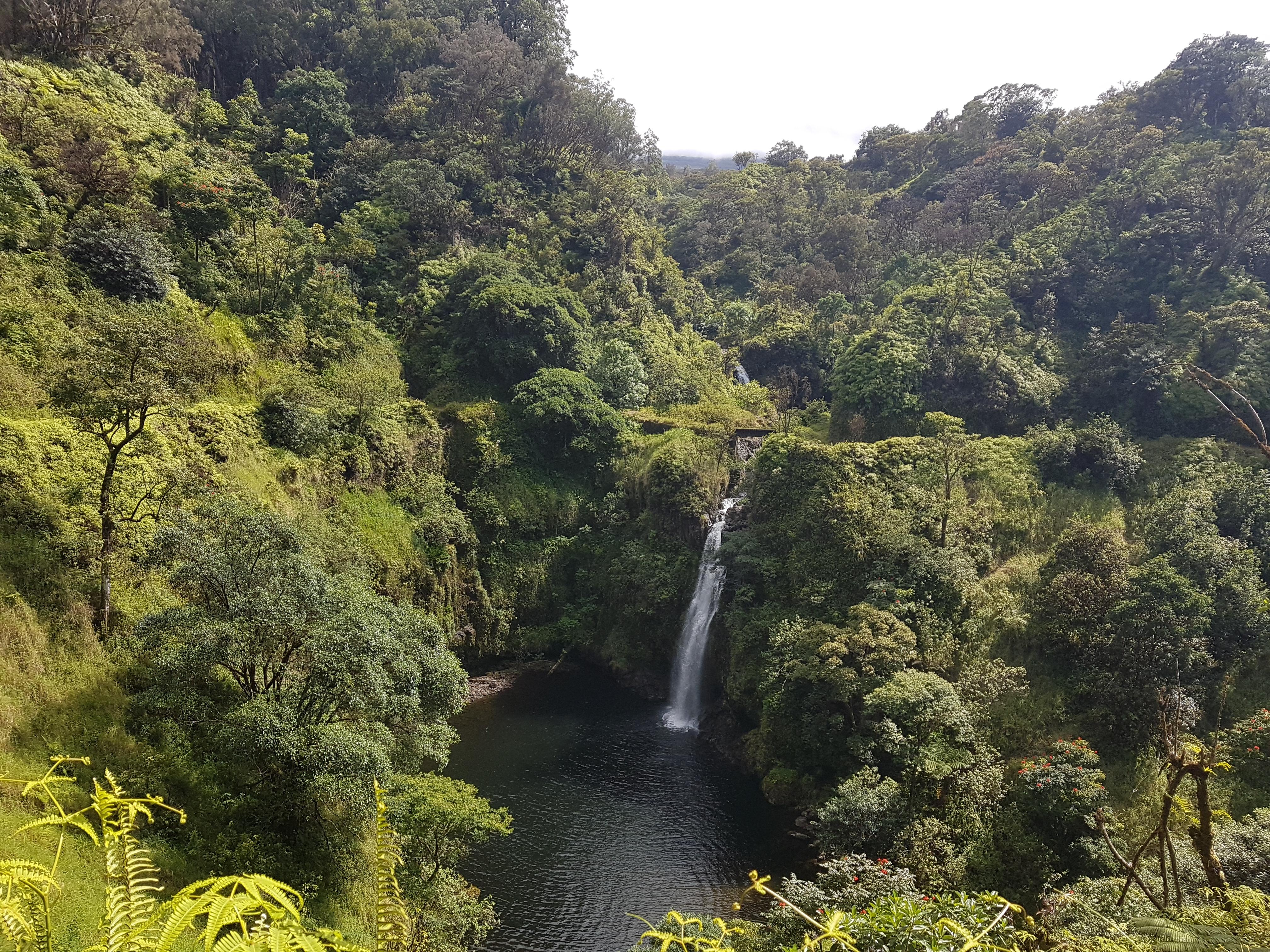 Maui Secret Waterfall