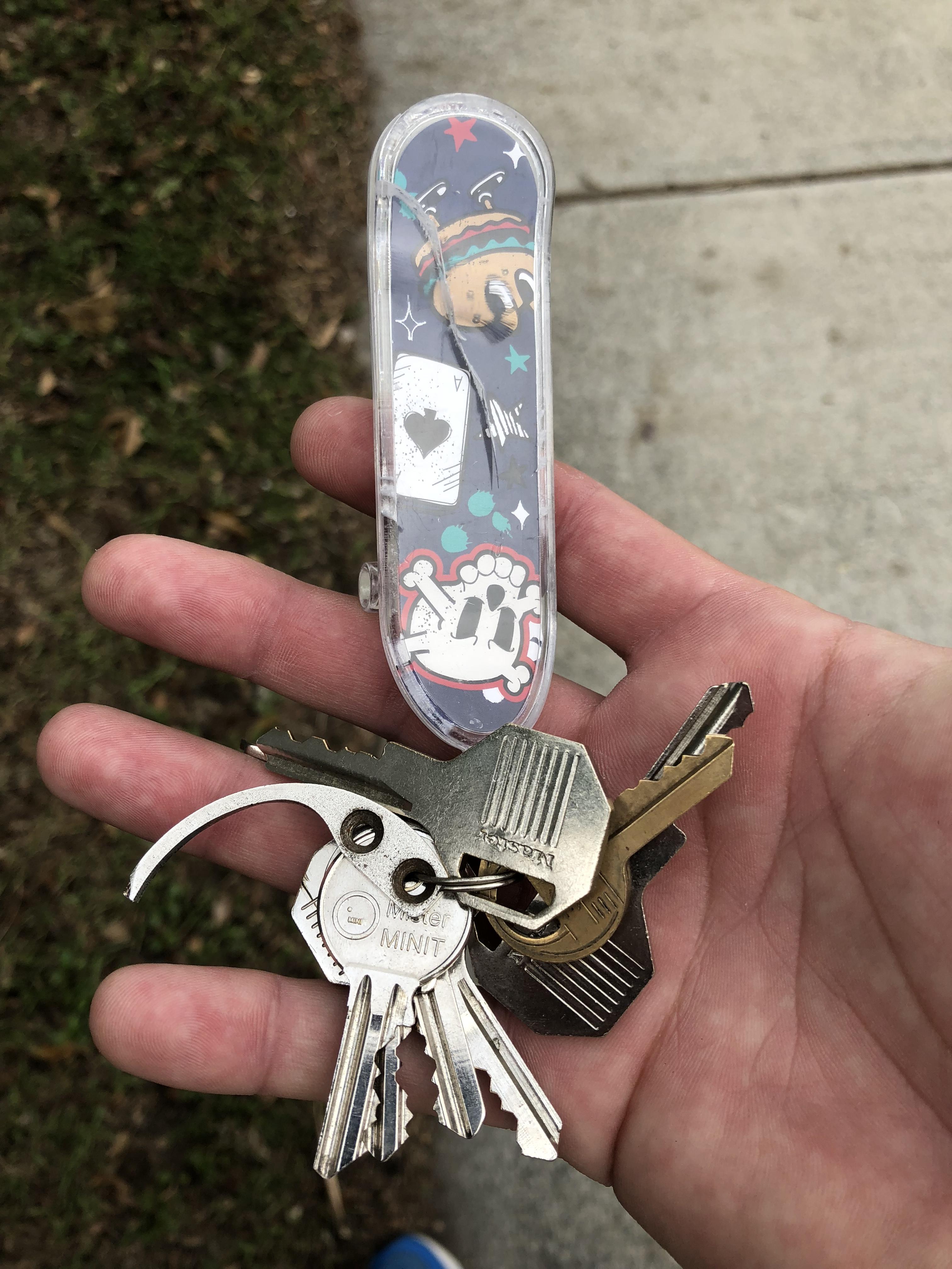 Anyone lost some keys? r/brisbane