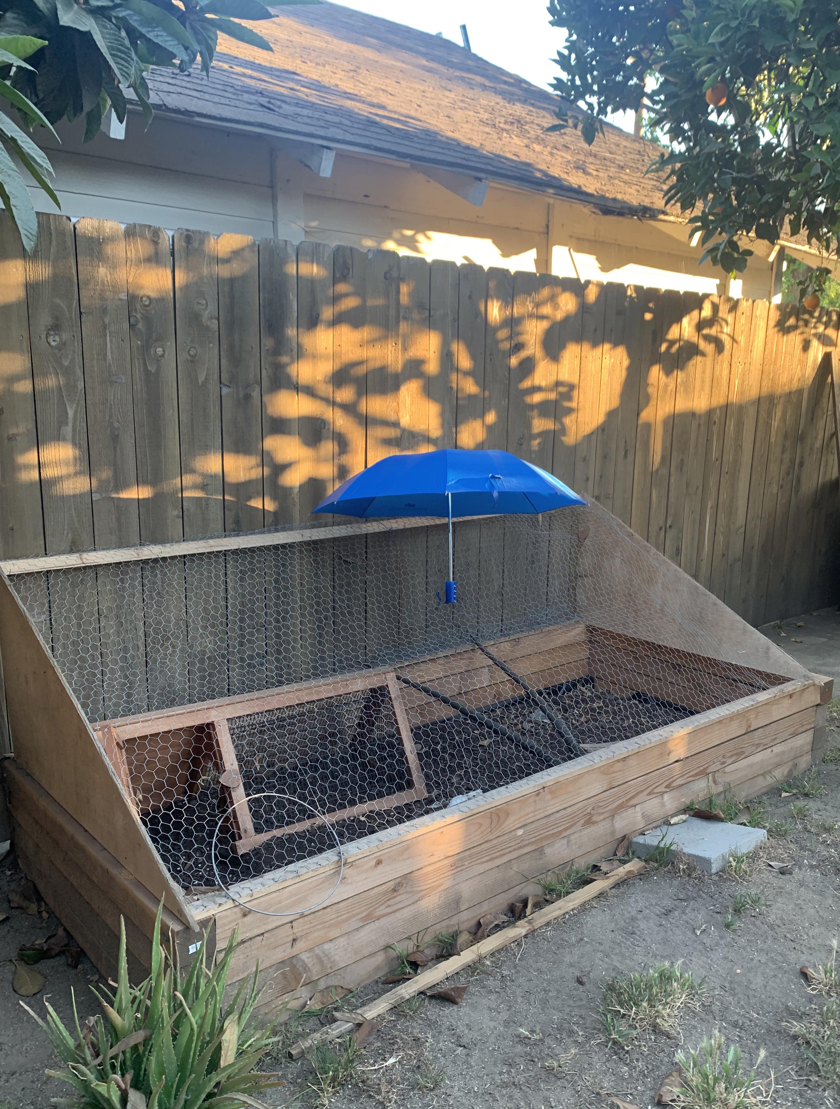 My mom thought my Sulcata would overheat and she was worried r/tortoise