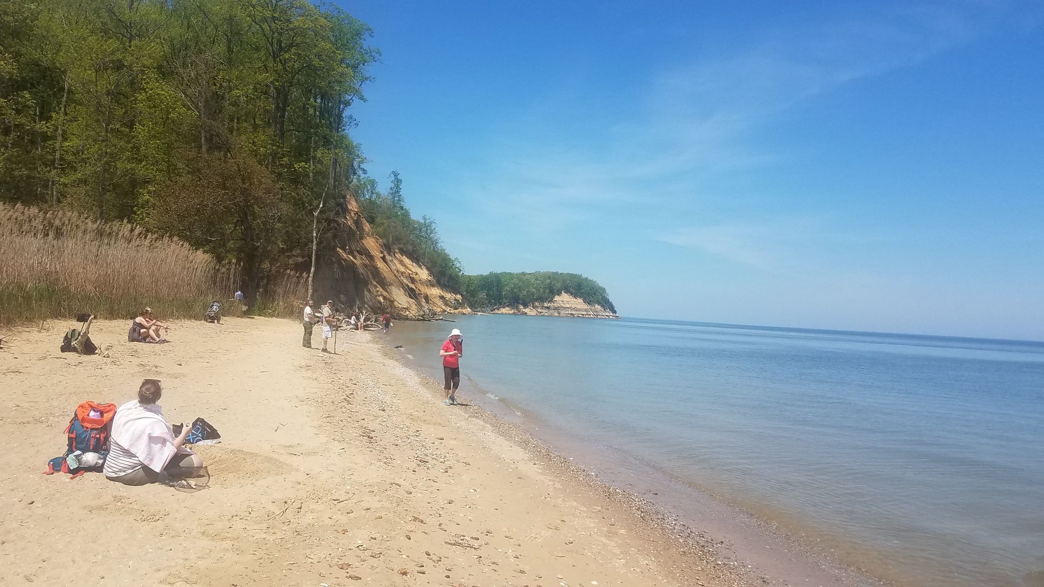 Went to Calvert Cliffs today for my birthday. Never been before and