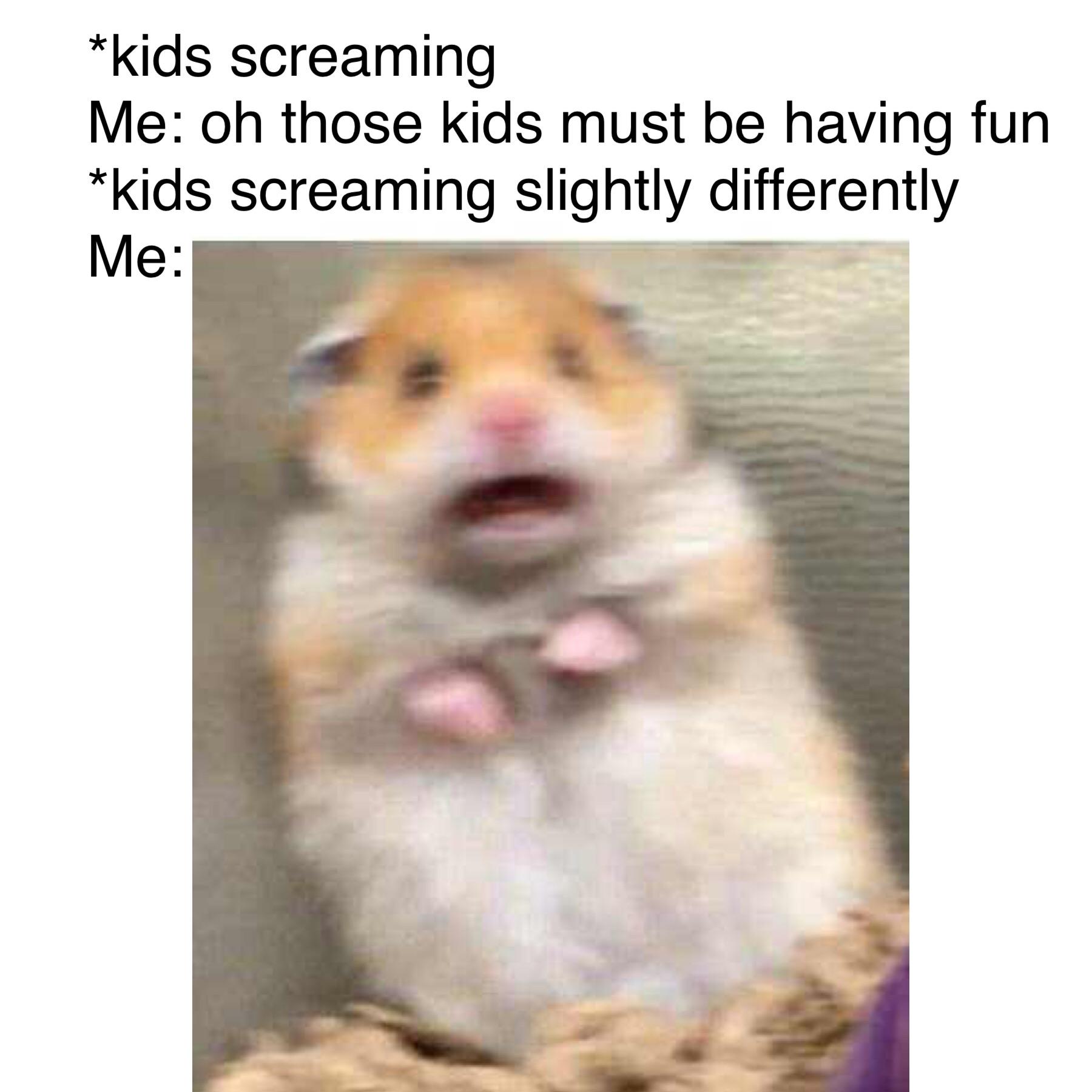 I can always tell when something is broken memes