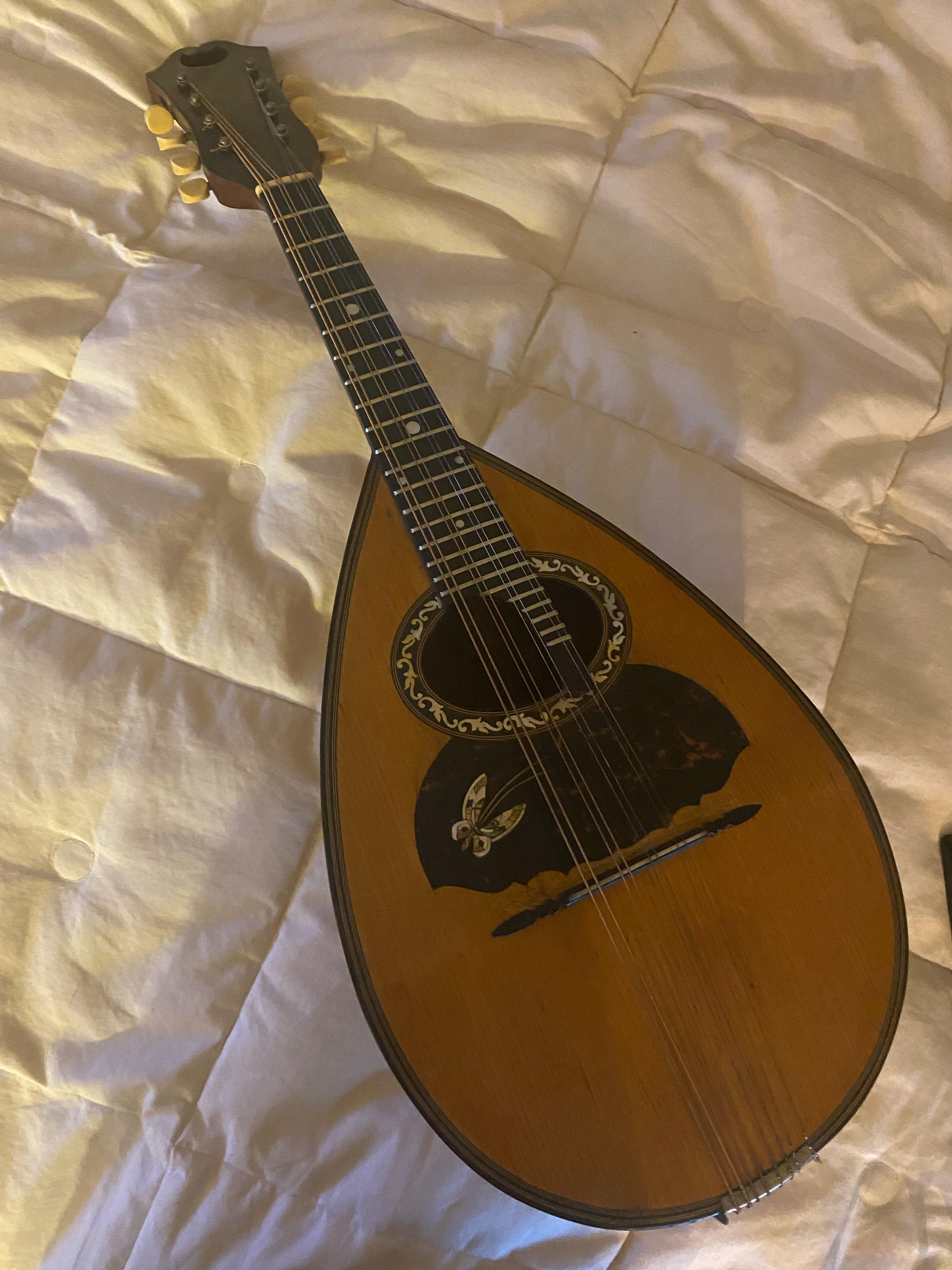 Can anyone help me identify this antique mandolin? r/mandolin