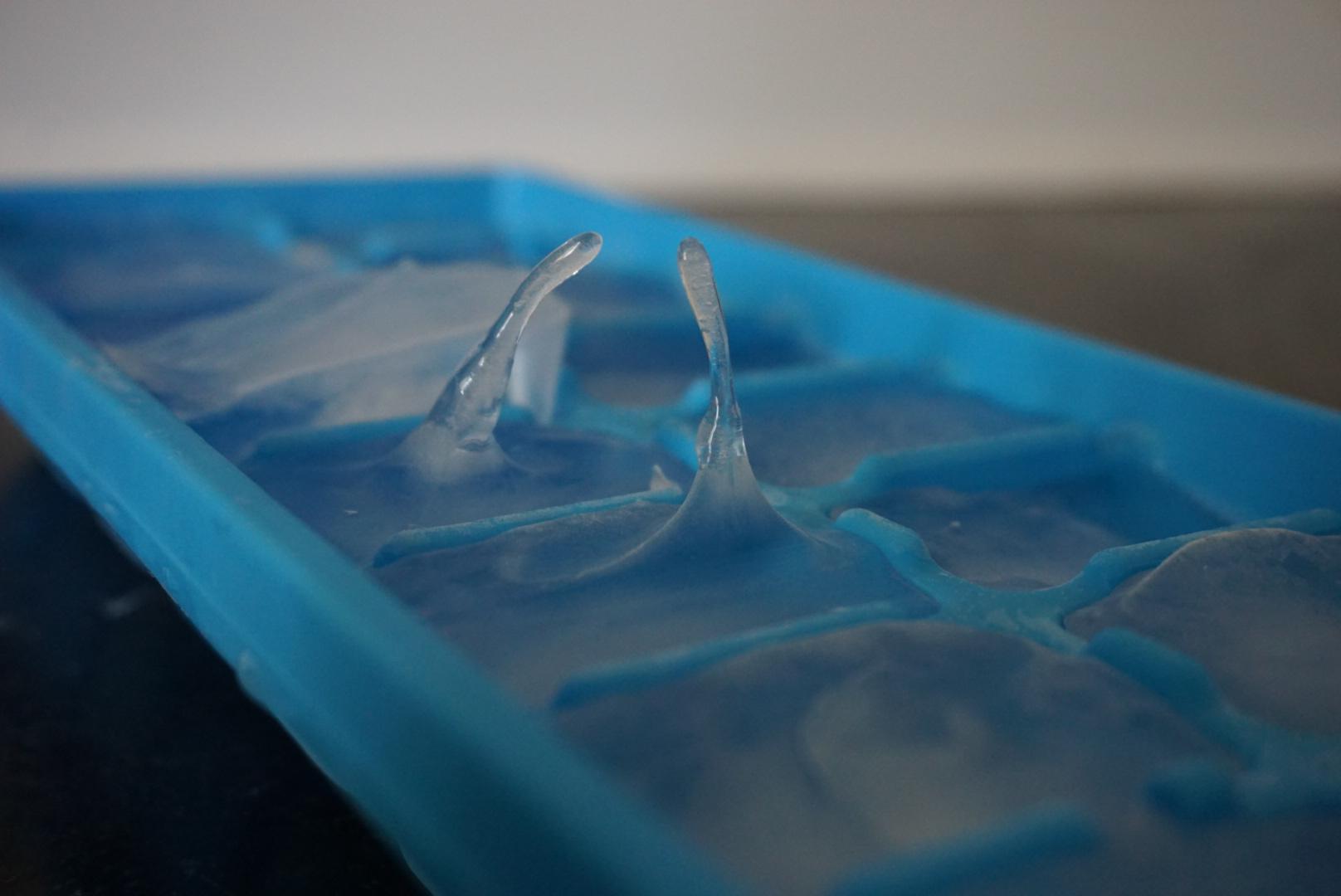 These ice cubes freezing upward r/mildlyinteresting