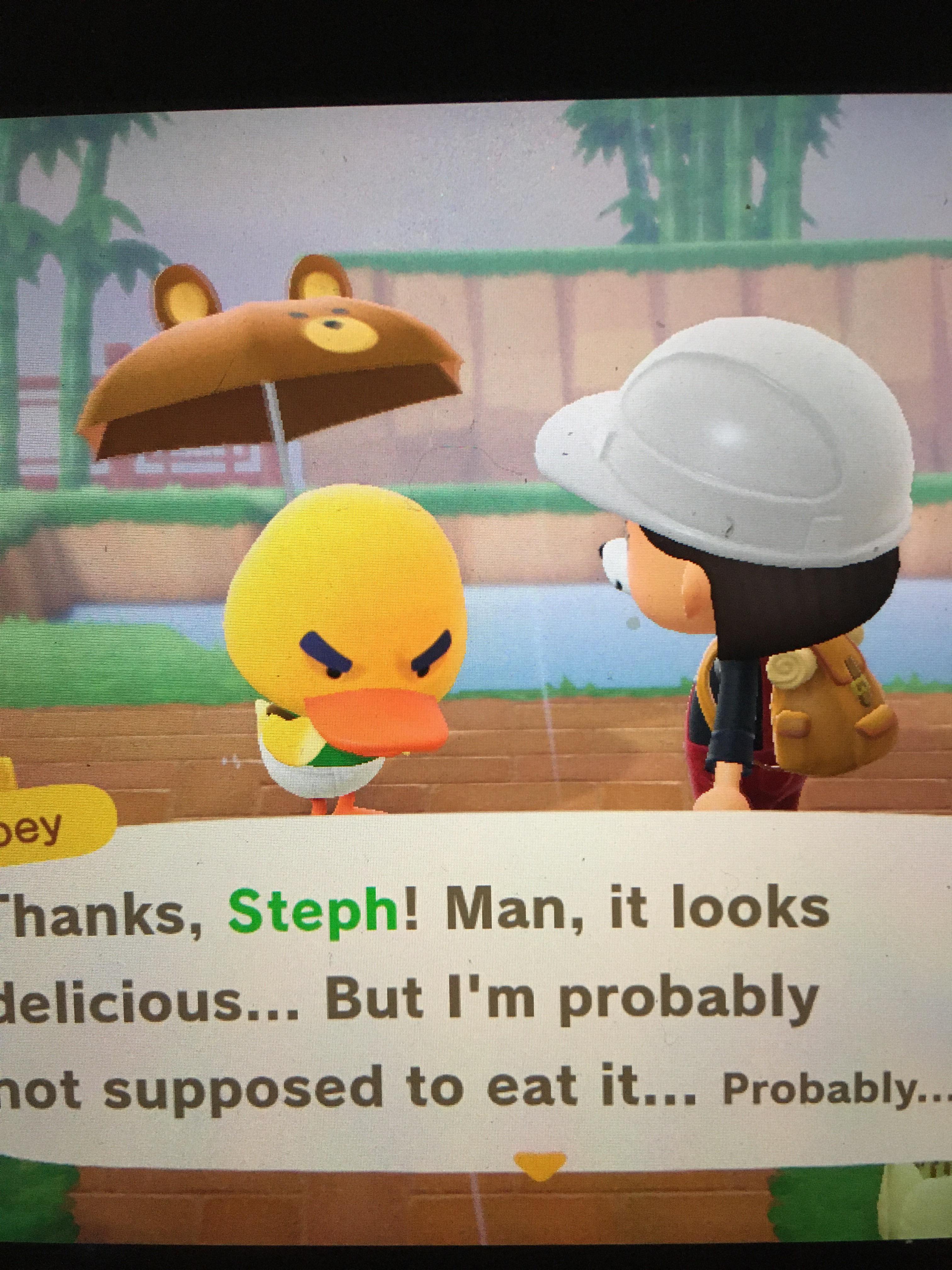 The cutest villager I have so far 🥺 and he has a little bear umbrella