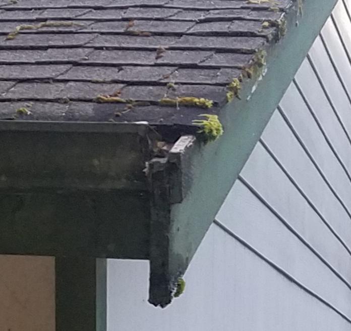 Gable end fascia extends down past end of gutter unprotected. Correct