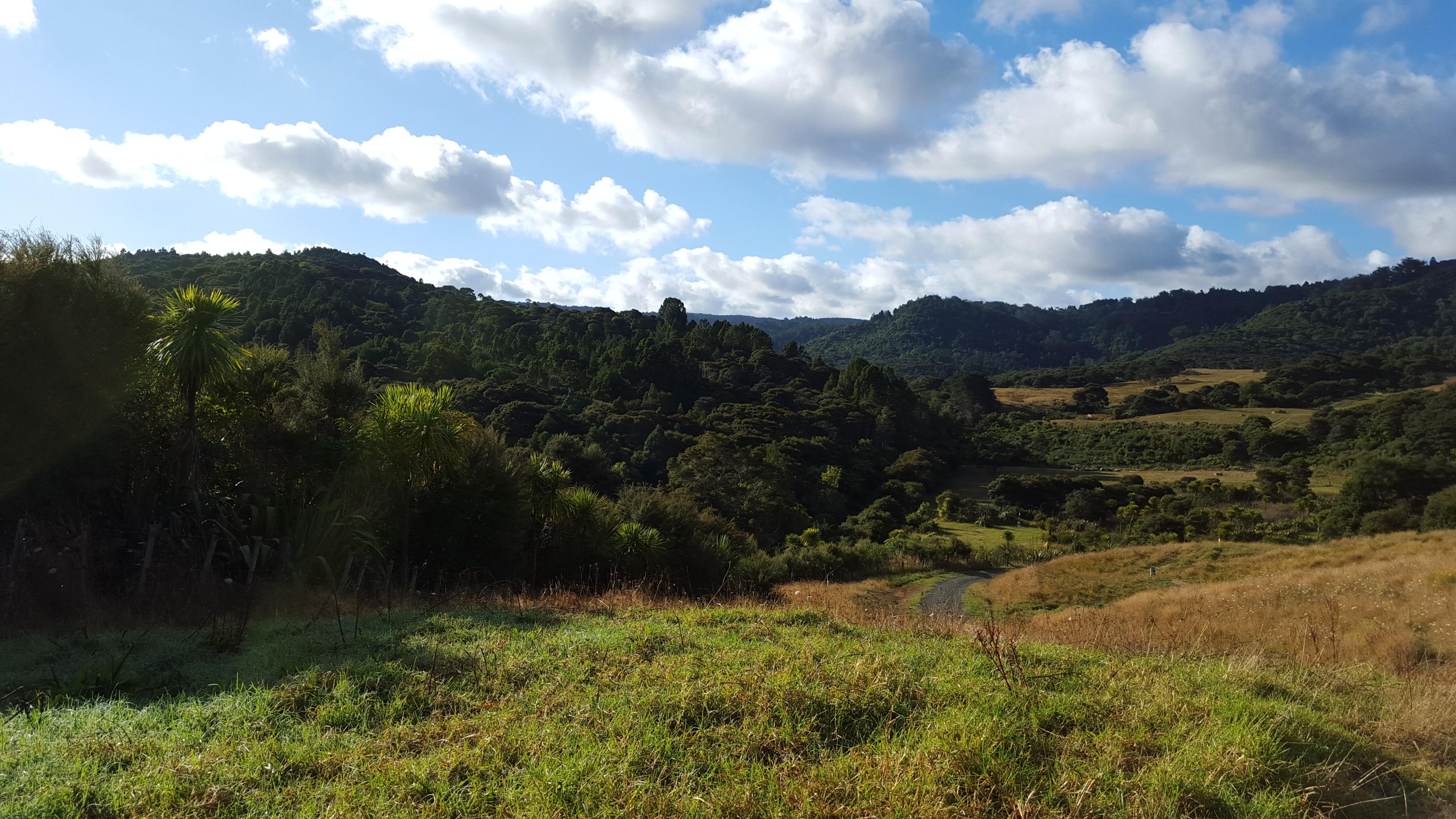 Pretty much the perfect day for some disc golf. Bethell's Beach in