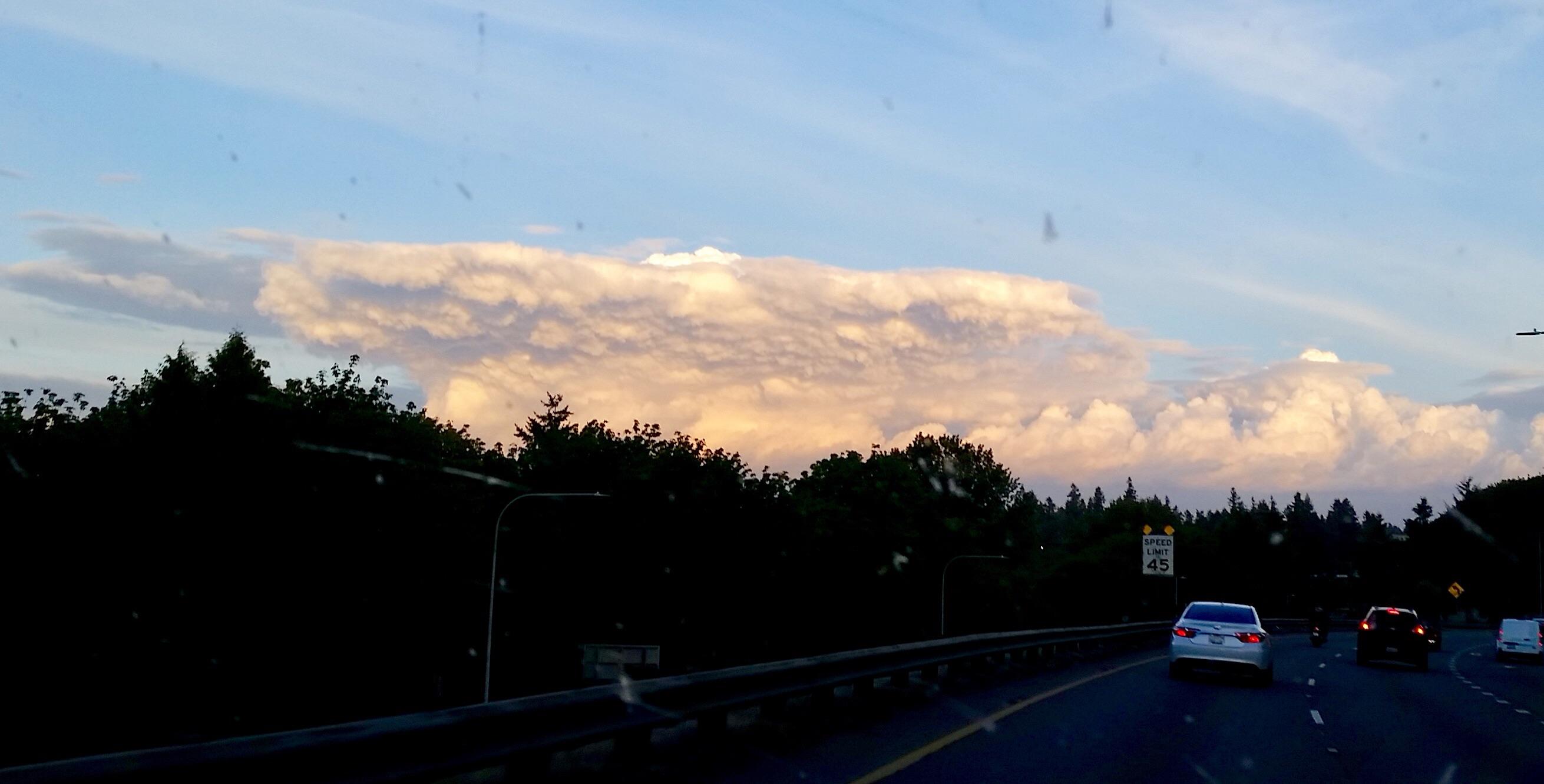 Olympia Washington yesterday Evening, one of the tallest clouds I ever seen. r/weather