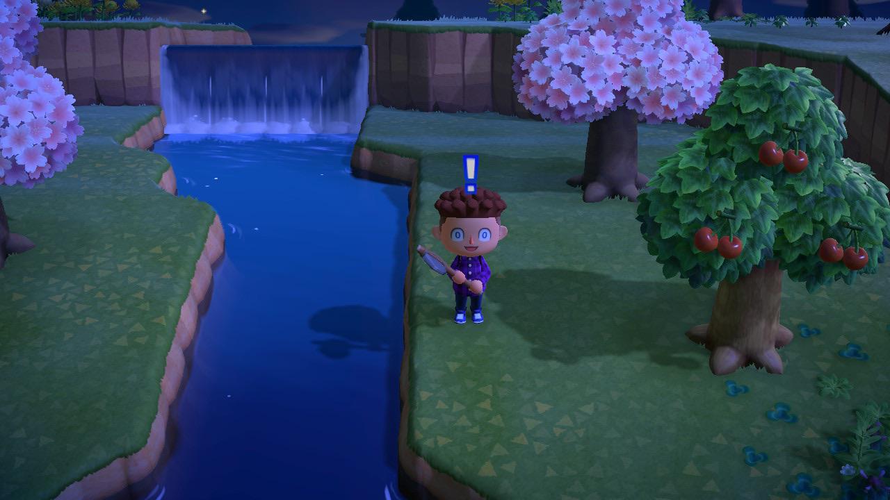 Why do my island’s native cherry trees not have cherry blossoms but the