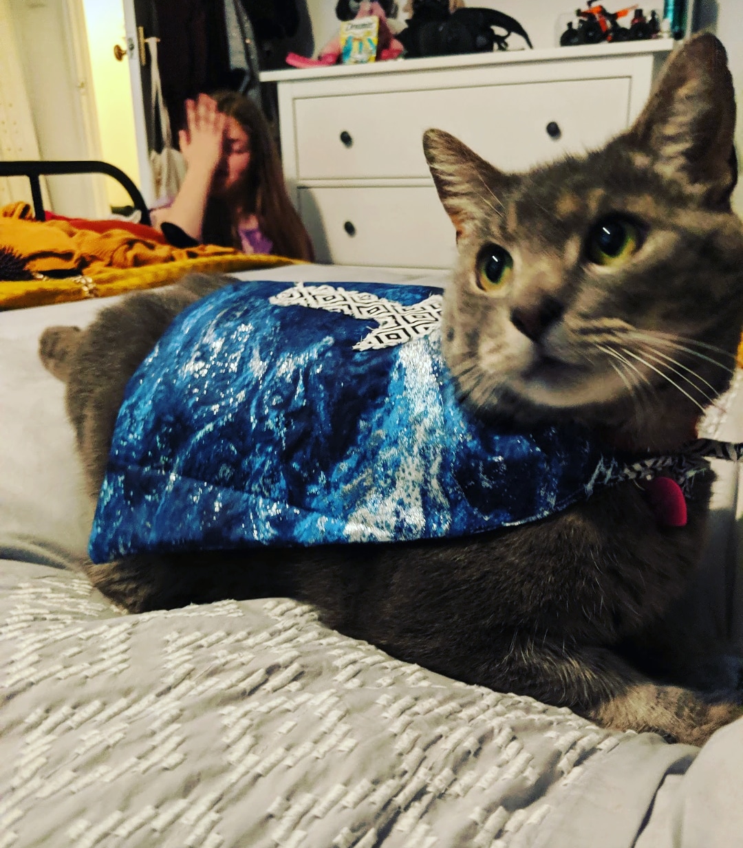 I've been crafting capes for my cat. r/crafts