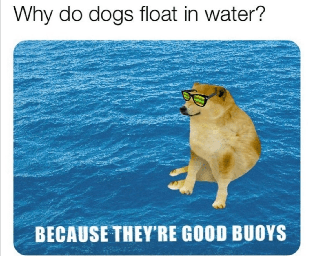 I have achieved comedy r/memes