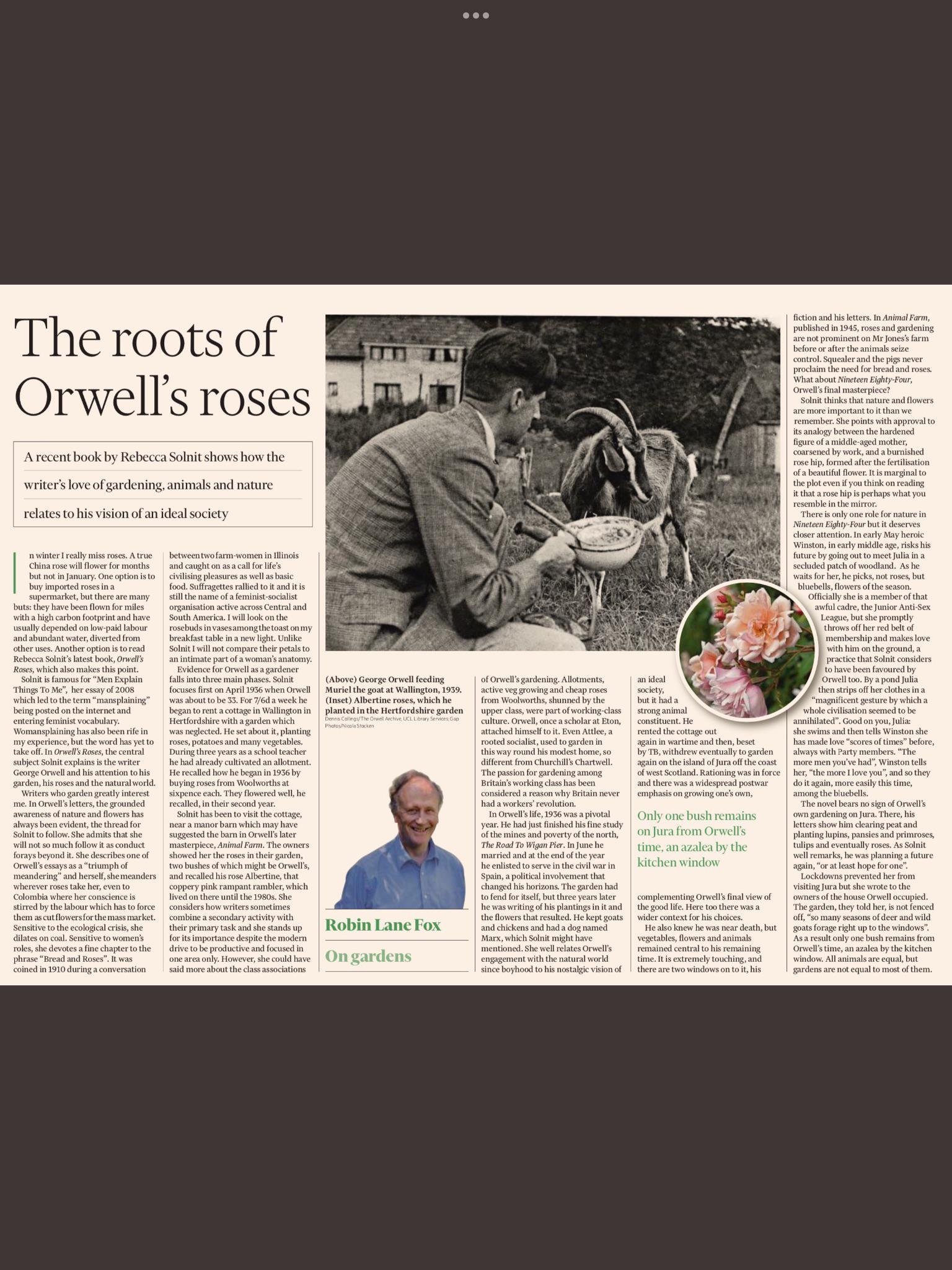 Orwell’s roses gardening